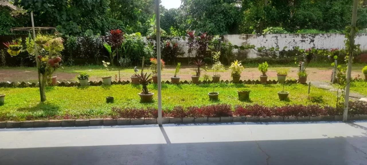Nature Villa Kochi