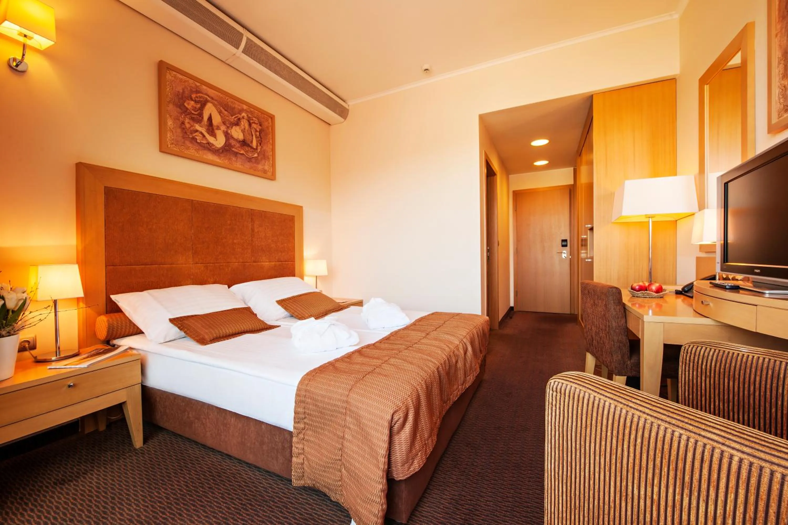 Economy Single Room - single occupancy in Grand Hotel Primus - Terme Ptuj - Sava Hotels & Resorts