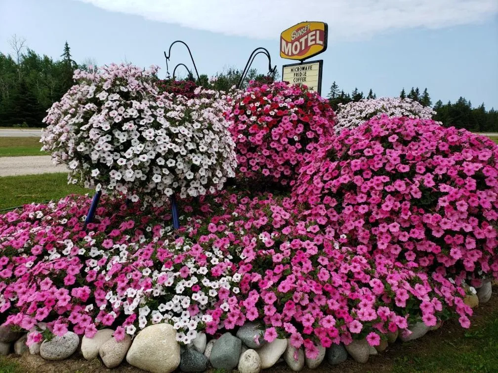 Sunset Motel at Armand's Gardens