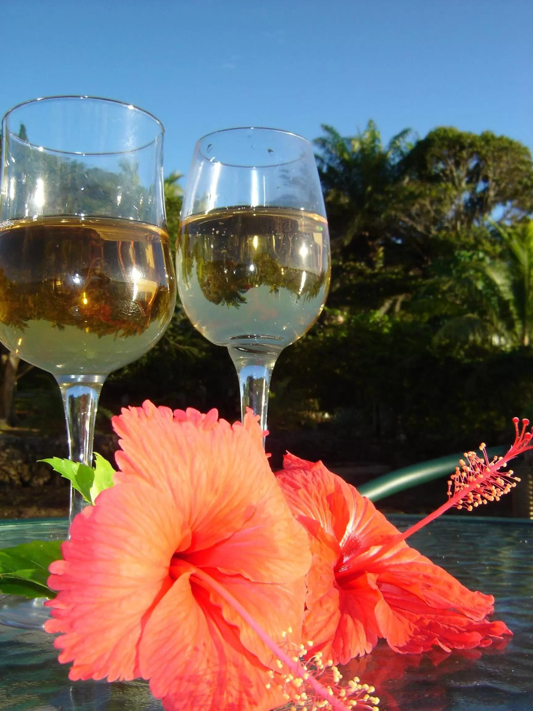 Alcoholic drinks in Seachange Lodge