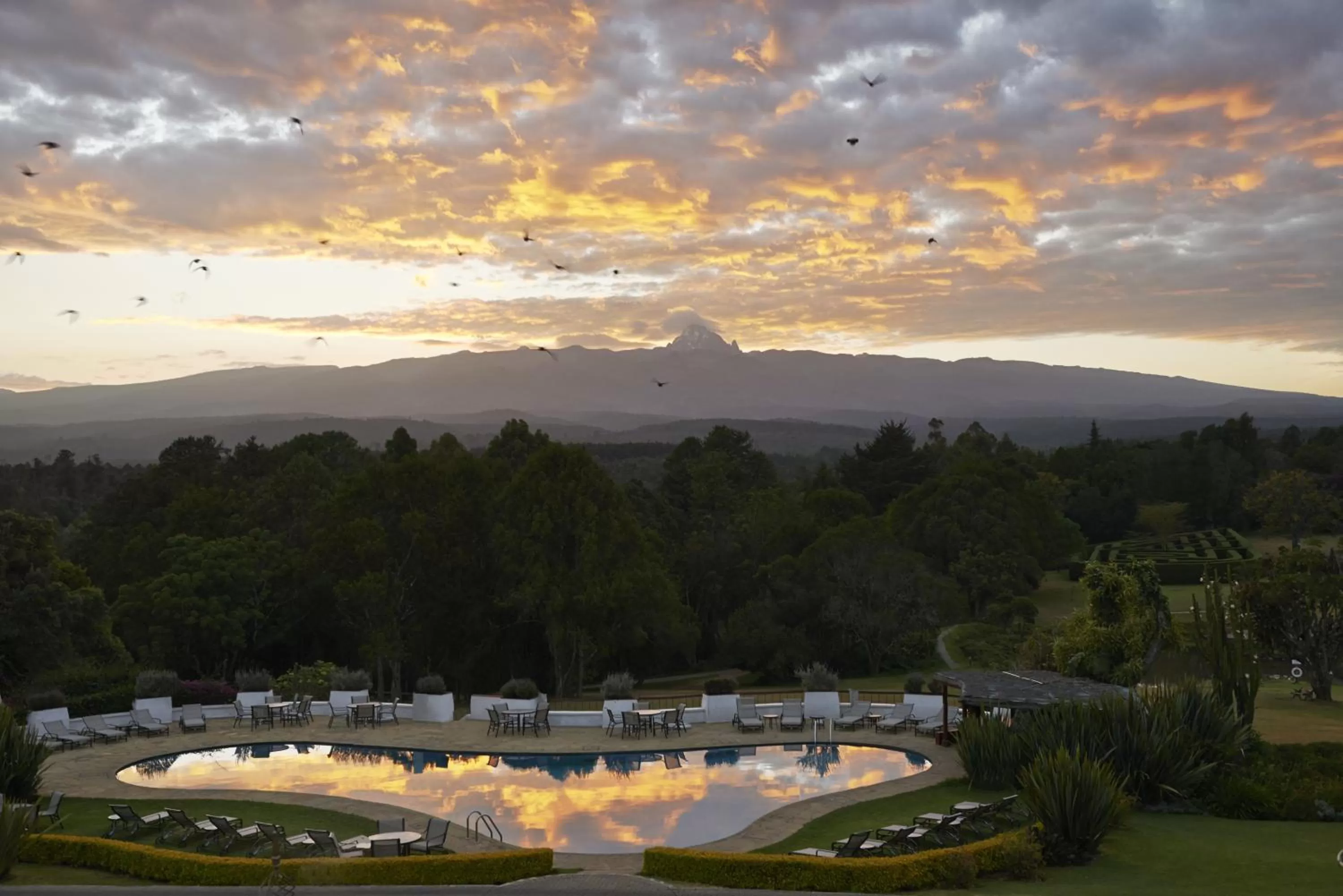 Swimming pool in Fairmont Mount Kenya Safari Club