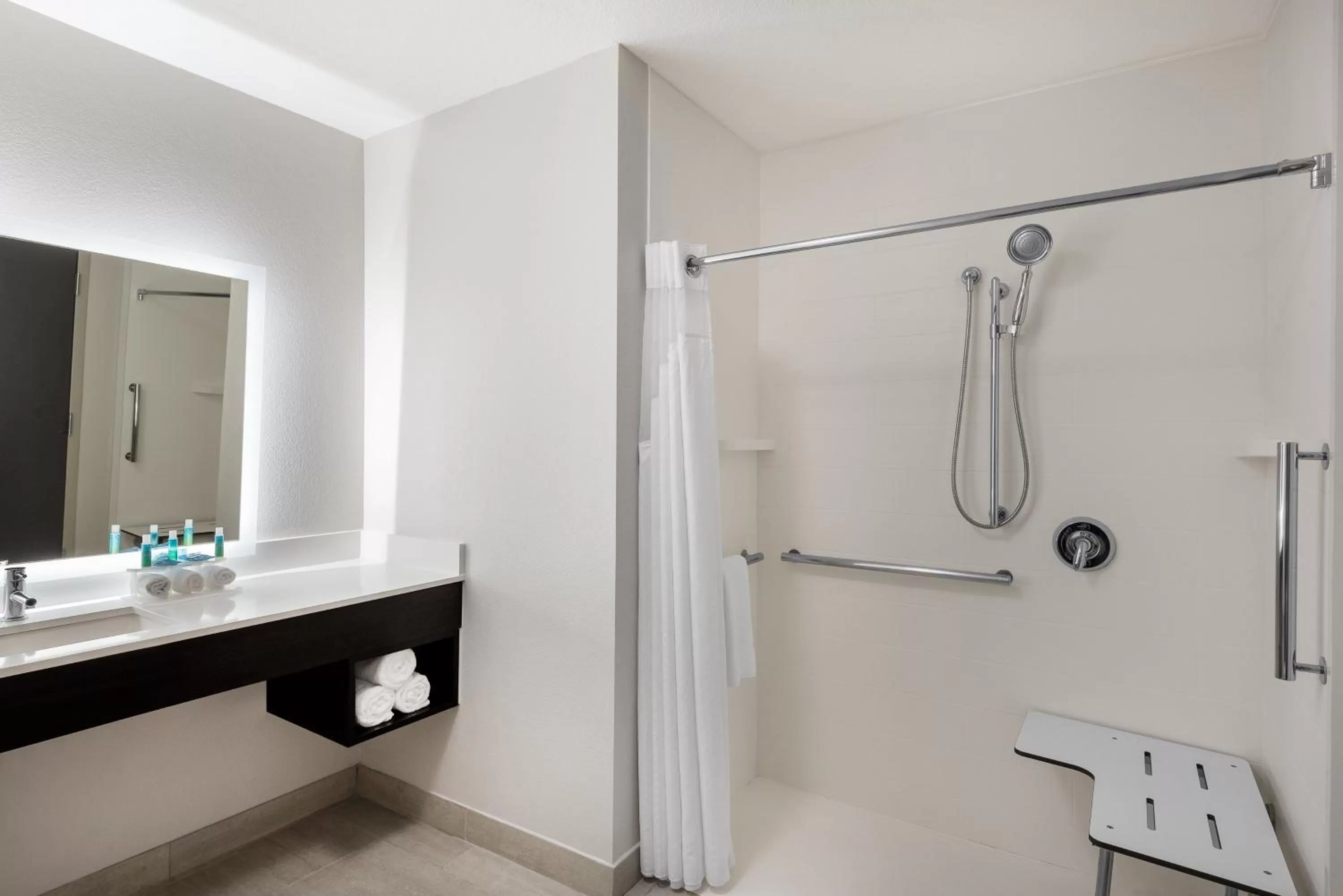 Bathroom in Holiday Inn Express & Suites Lakeland South by IHG