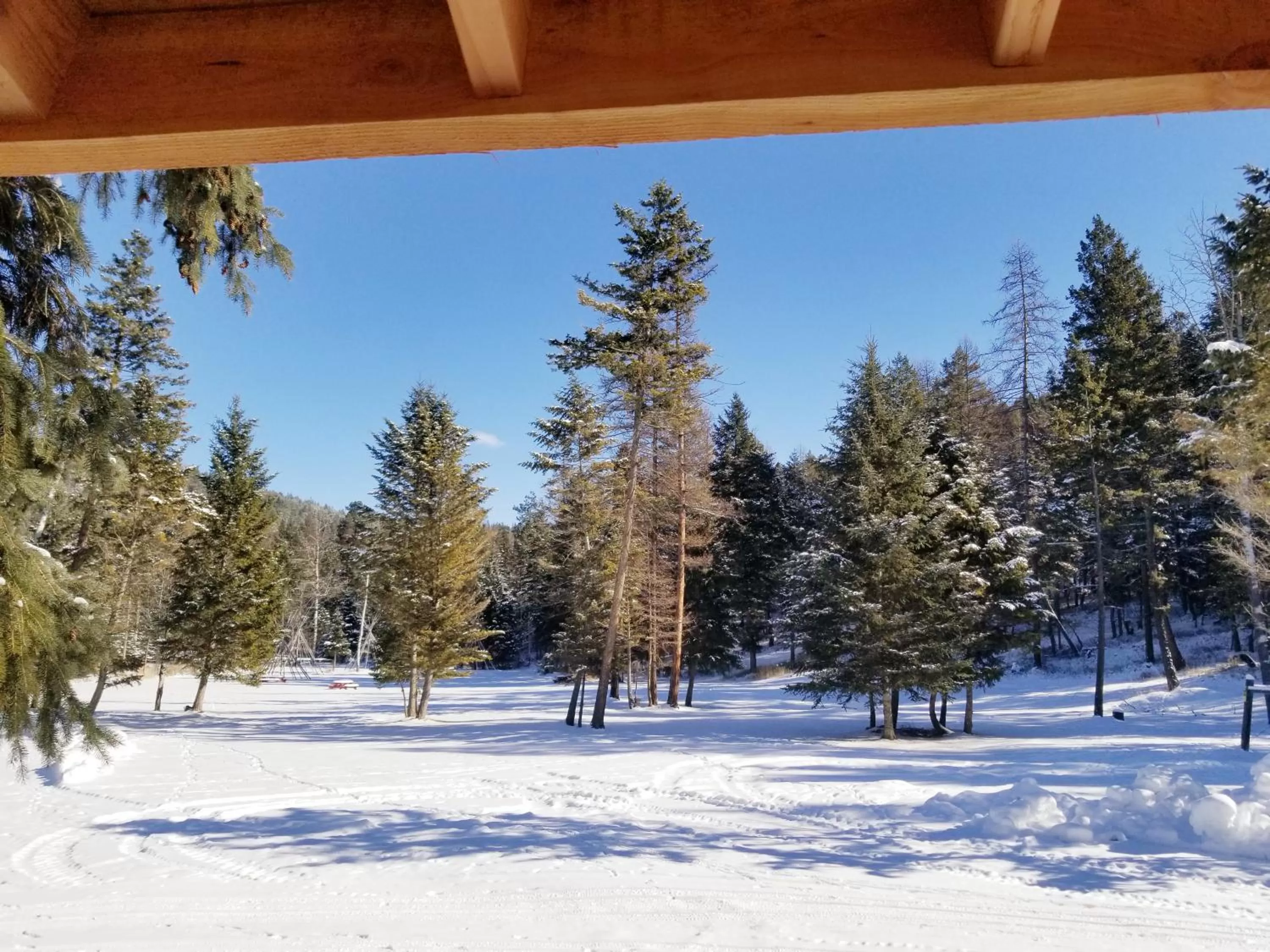View (from property/room) in Lonesome Dove Ranch