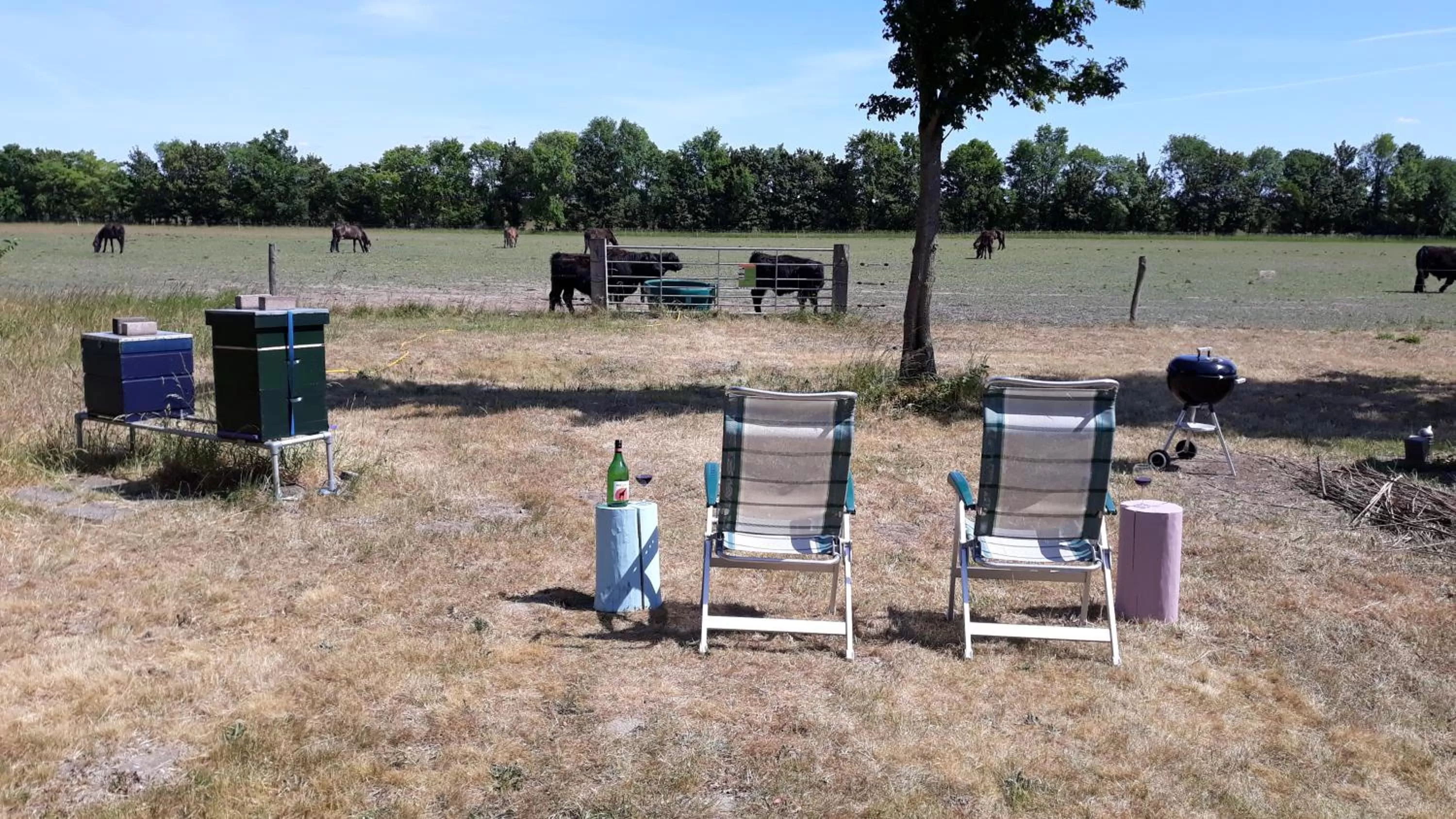 Garden, Beach in Biesbosch Bed & Breakfast Werkendam