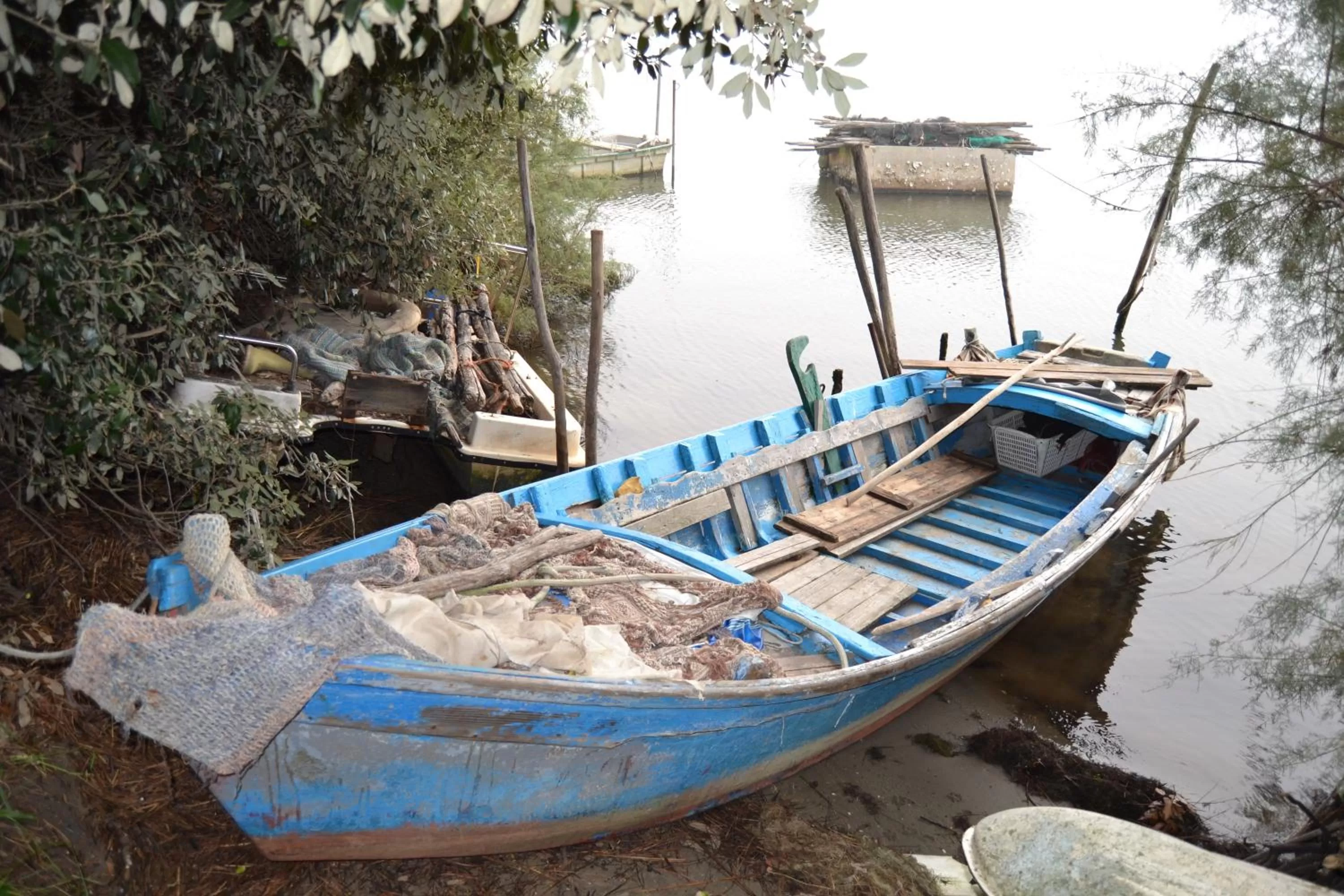 Area and facilities in Ferrari