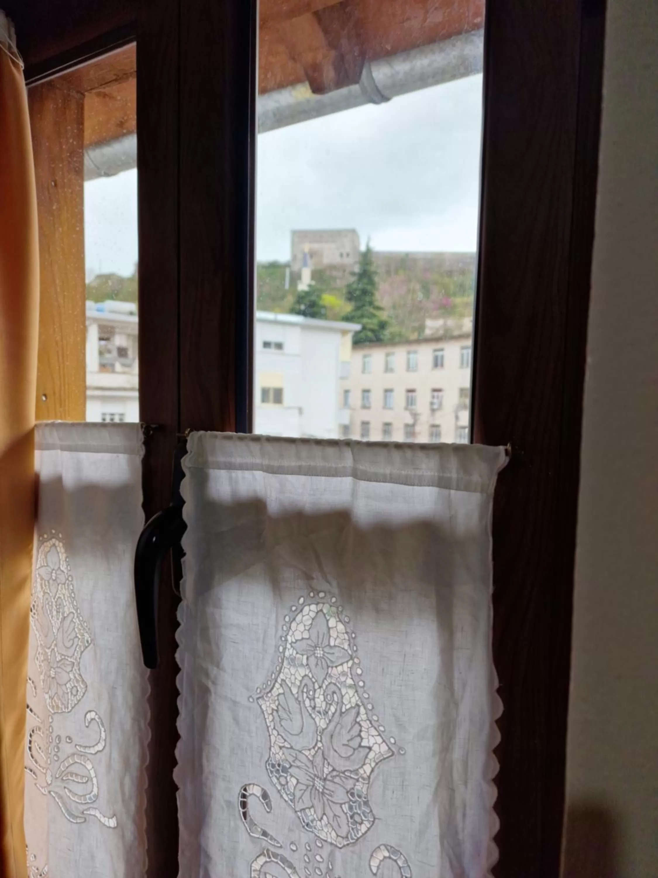 View (from property/room), View in Hotel Domino