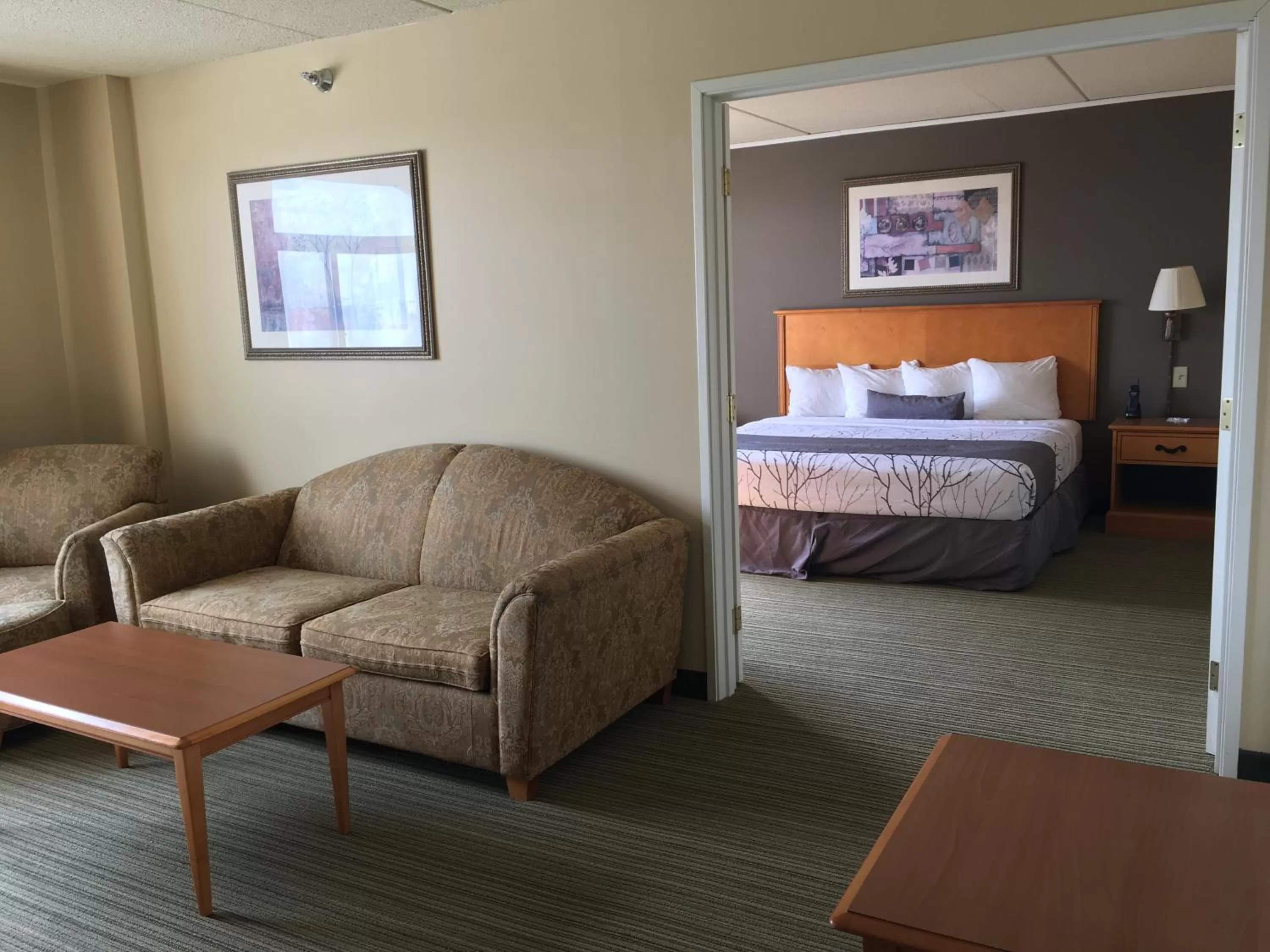 Living room, Bed in Wingate by Wyndham Coon Rapids