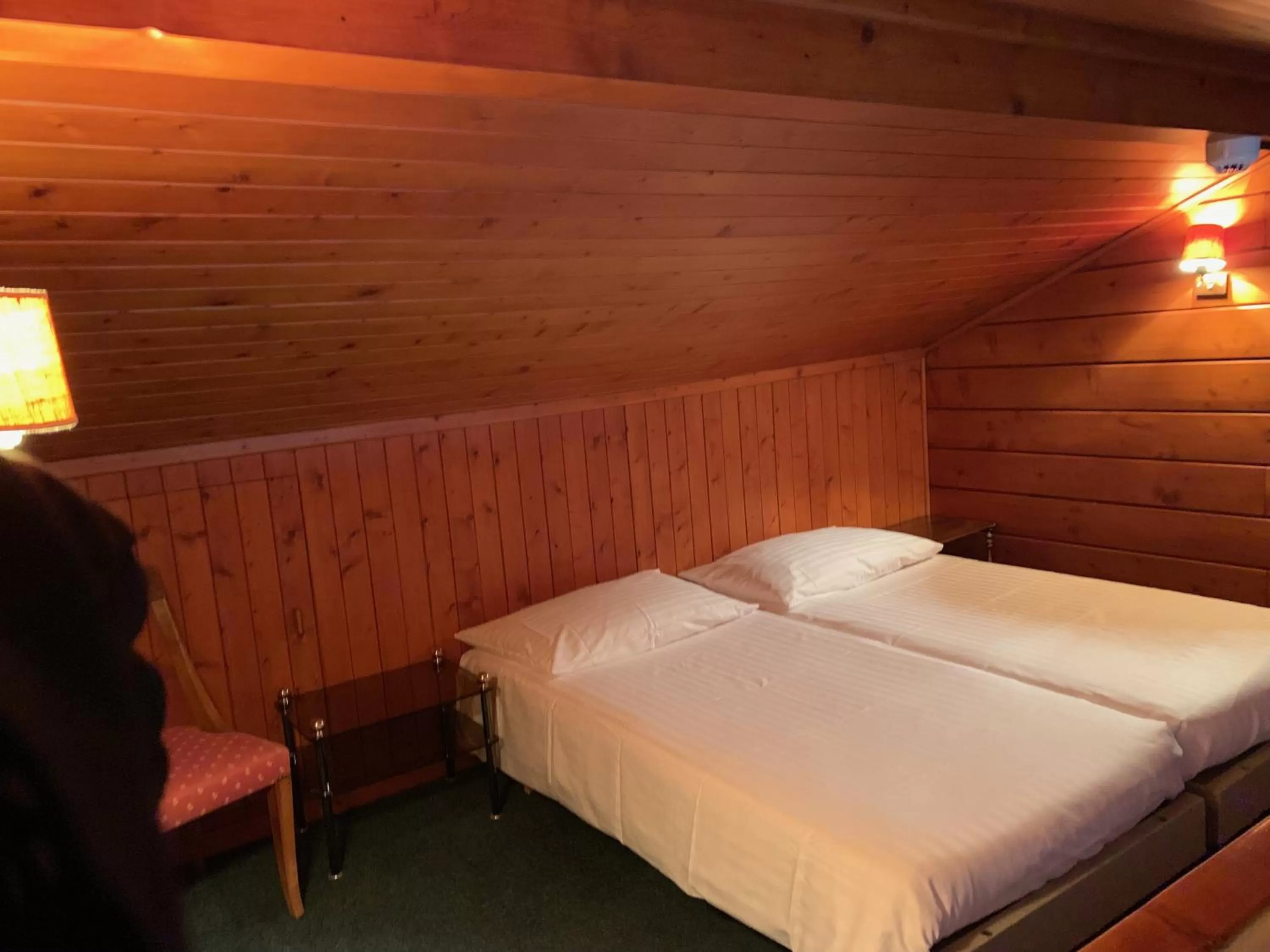 Hôtel Ecureuil Villars