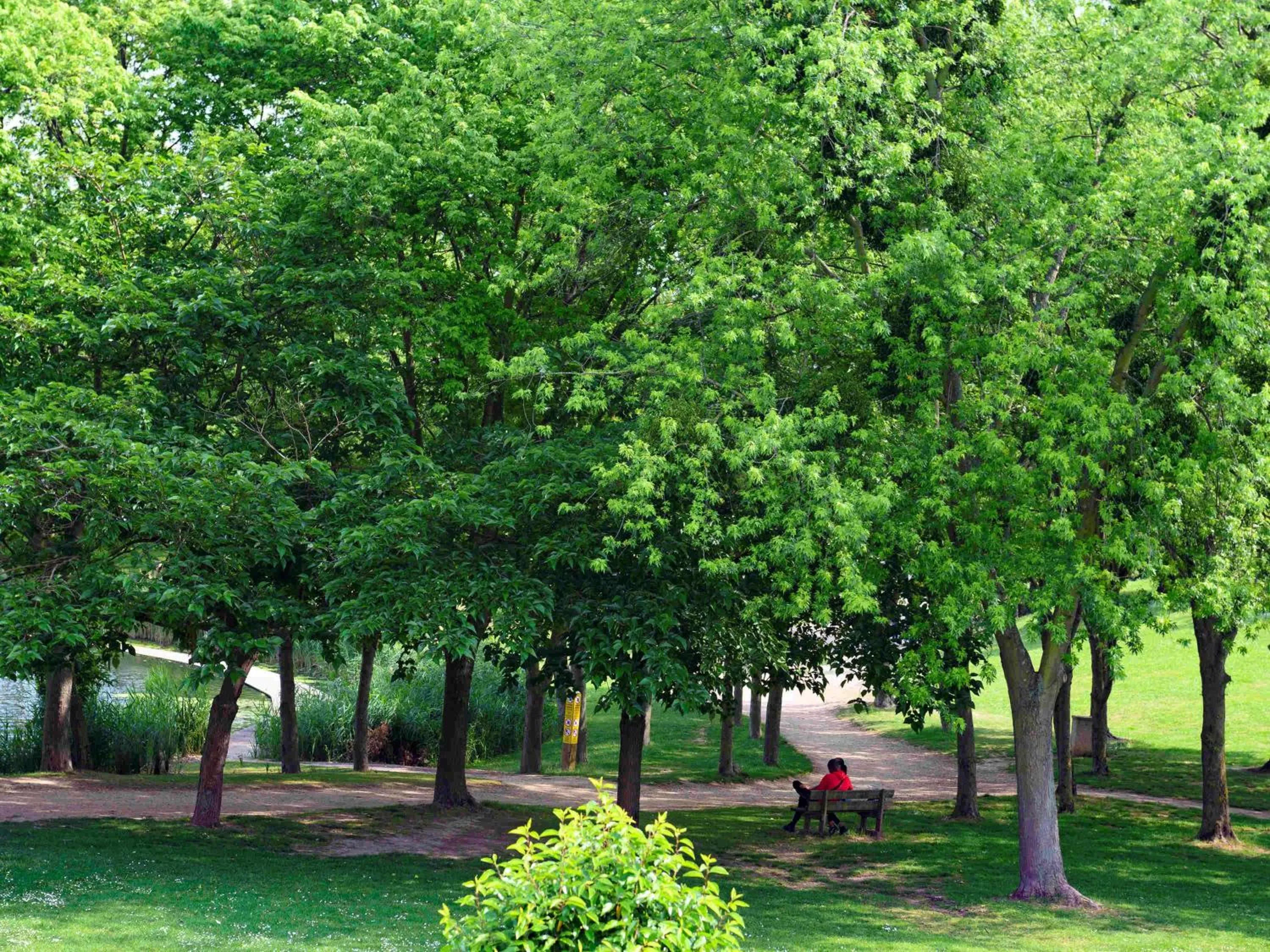 Other in Novotel Paris Créteil Le Lac