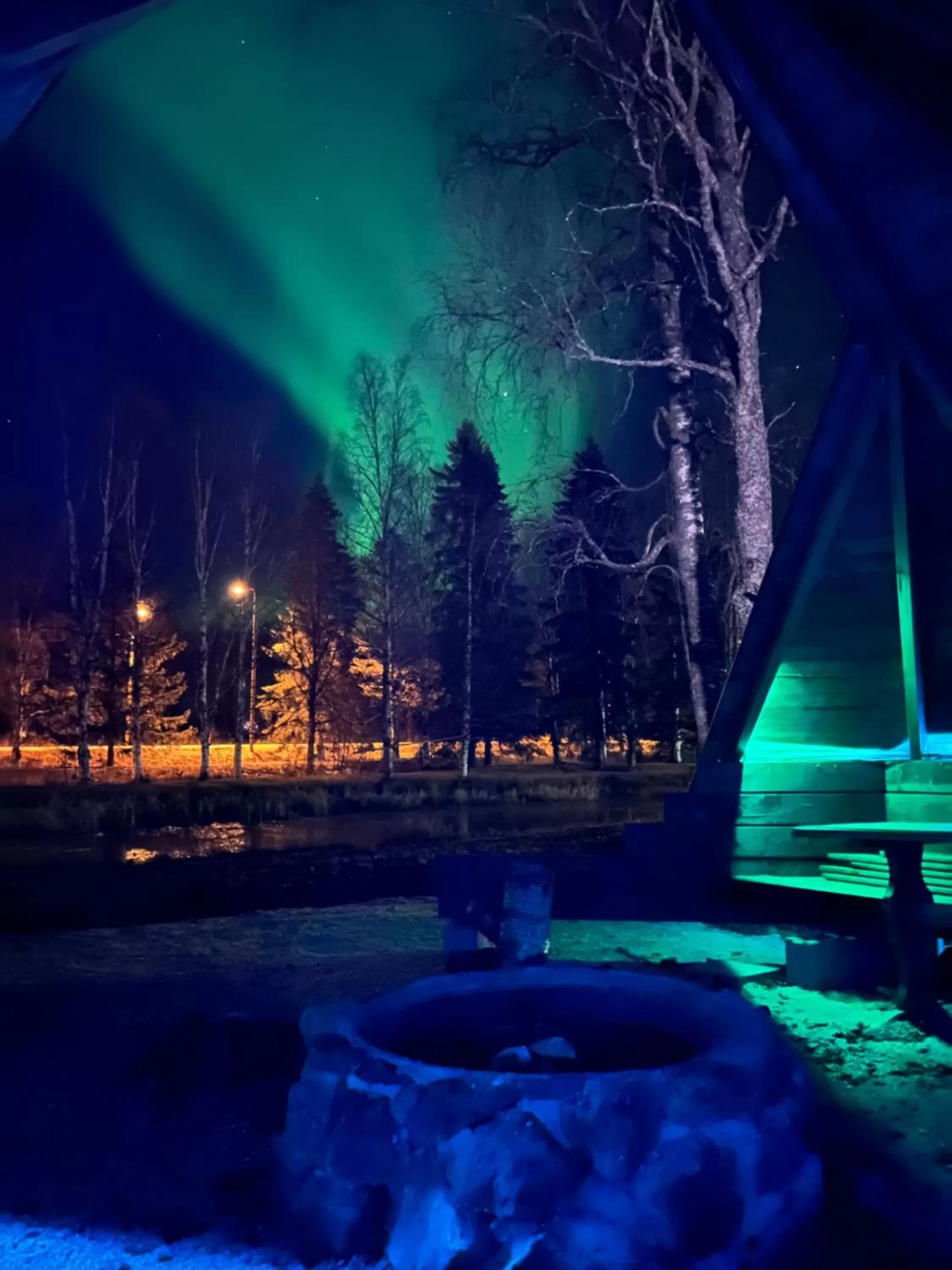 BBQ facilities in Hotel Yöpuu