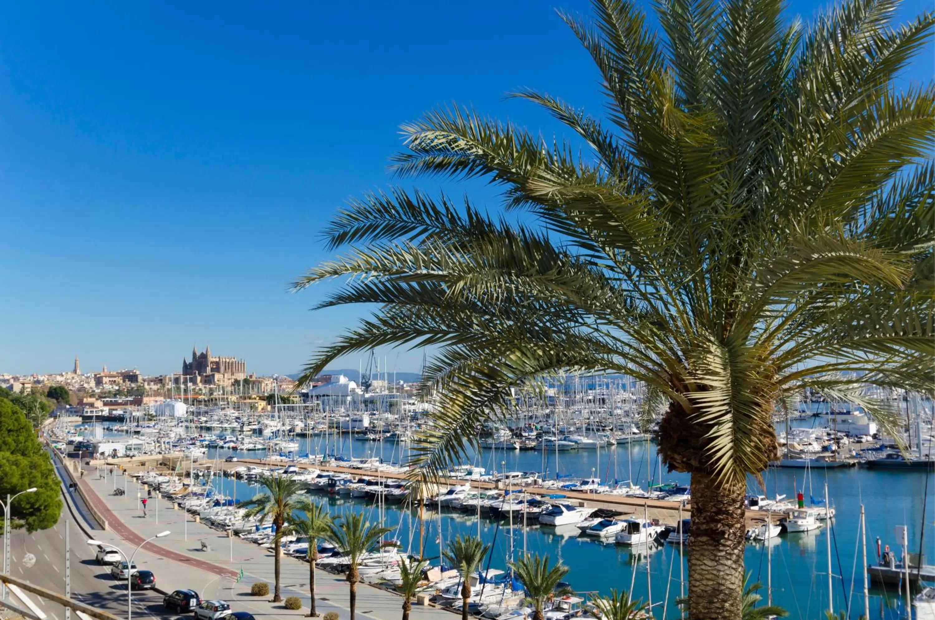 Restaurant/places to eat in Hotel Mirador