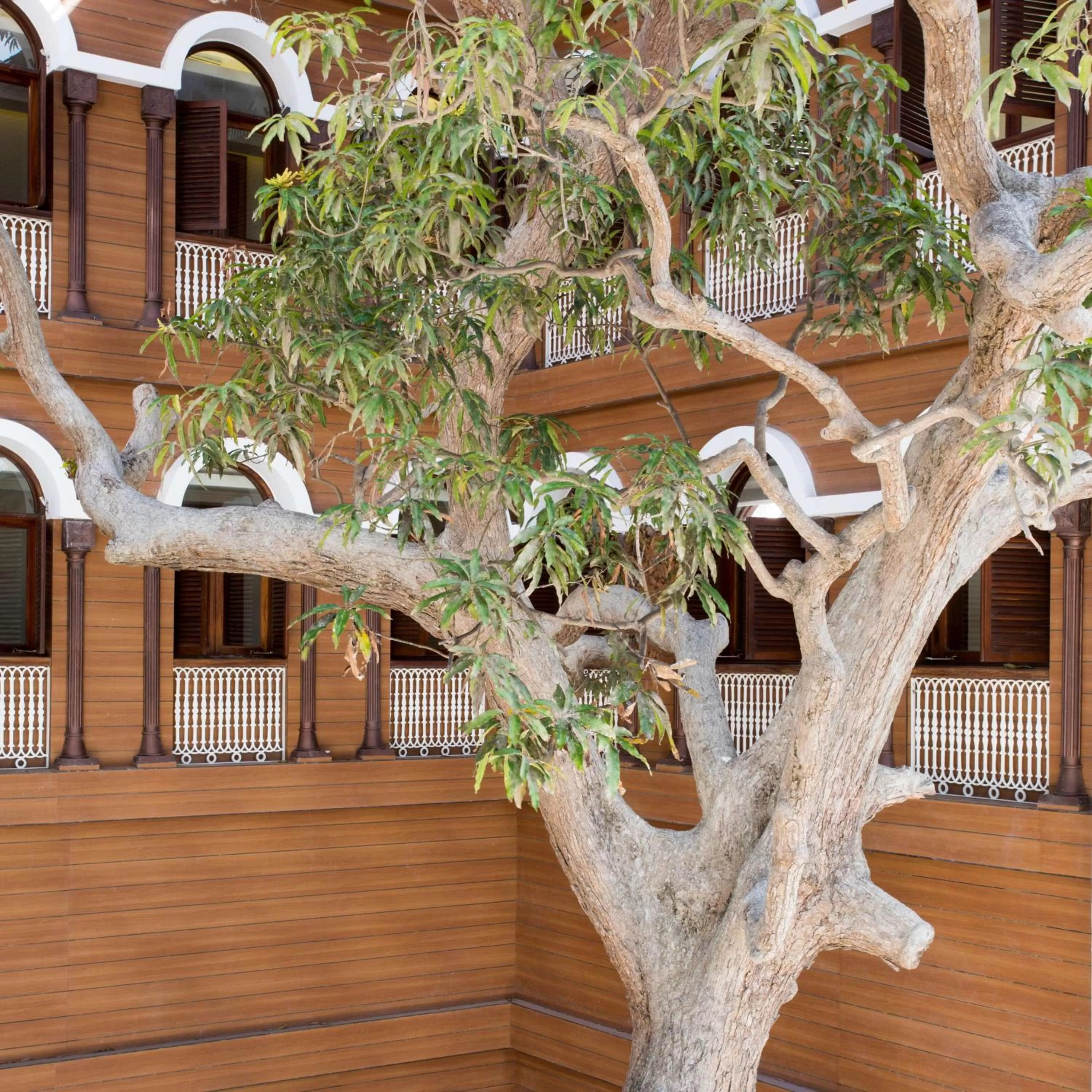 Property building in Park Hyatt Zanzibar