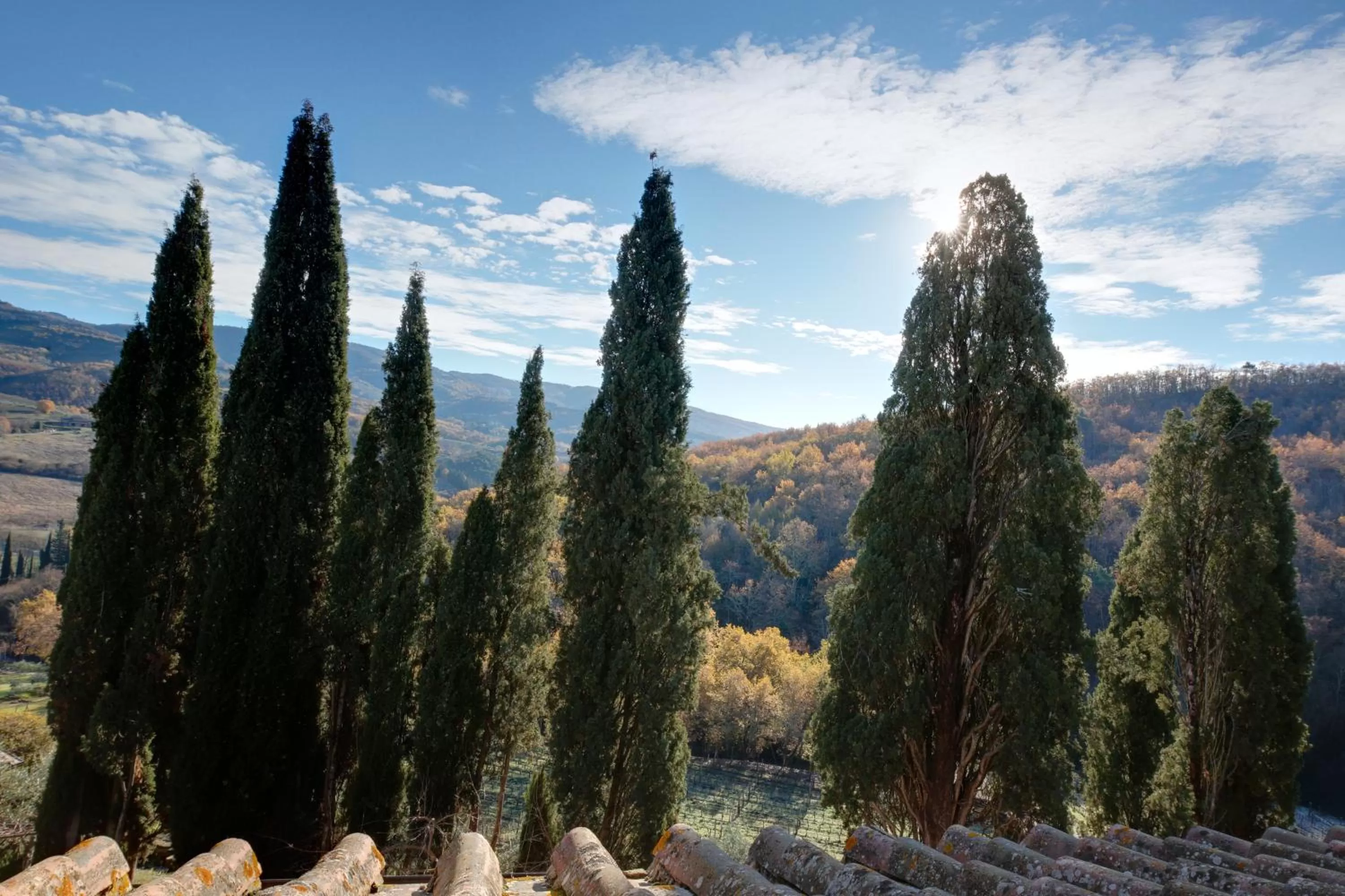 Natural landscape in Terre di Baccio