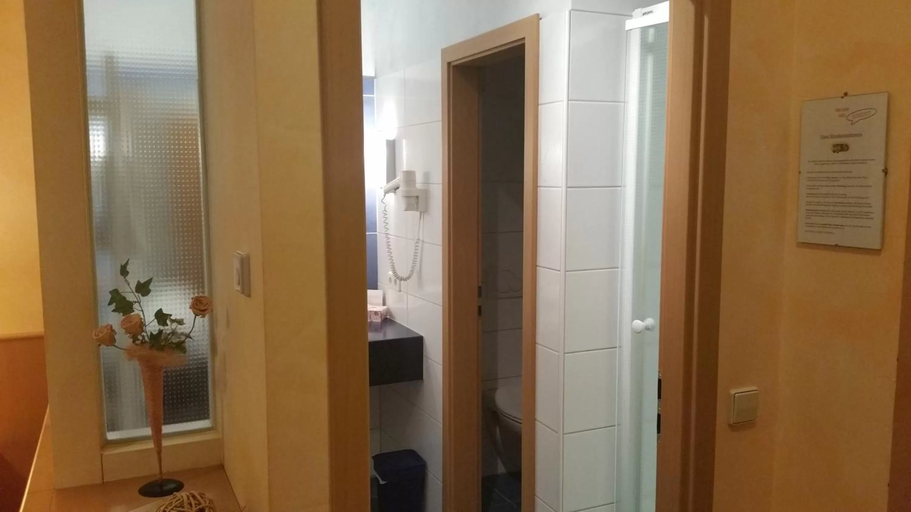 Toilet in Hotel-Restaurant Fröhlich