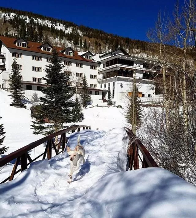 Property building in Monarch Mountain Lodge