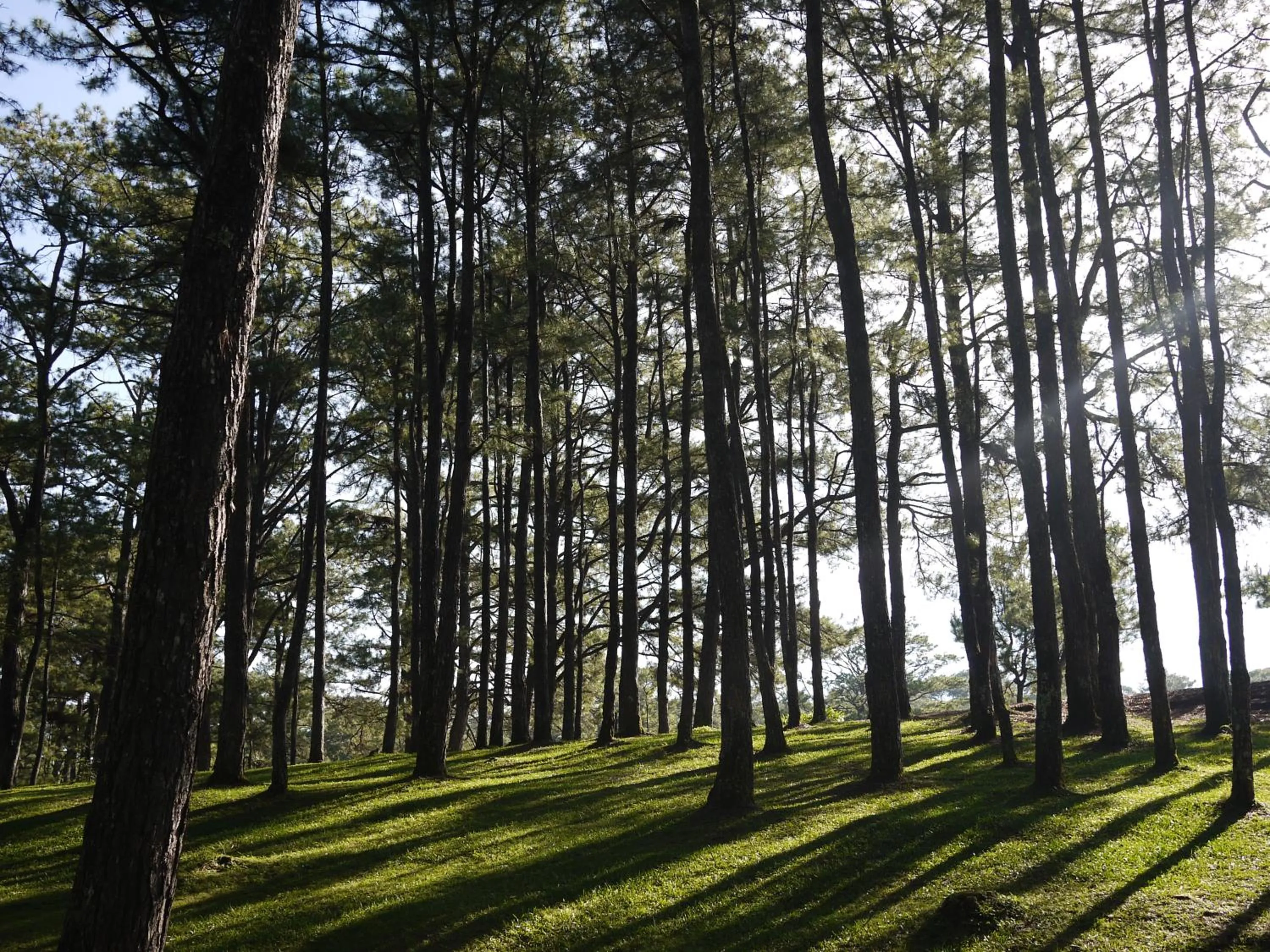 Azalea Residences Baguio