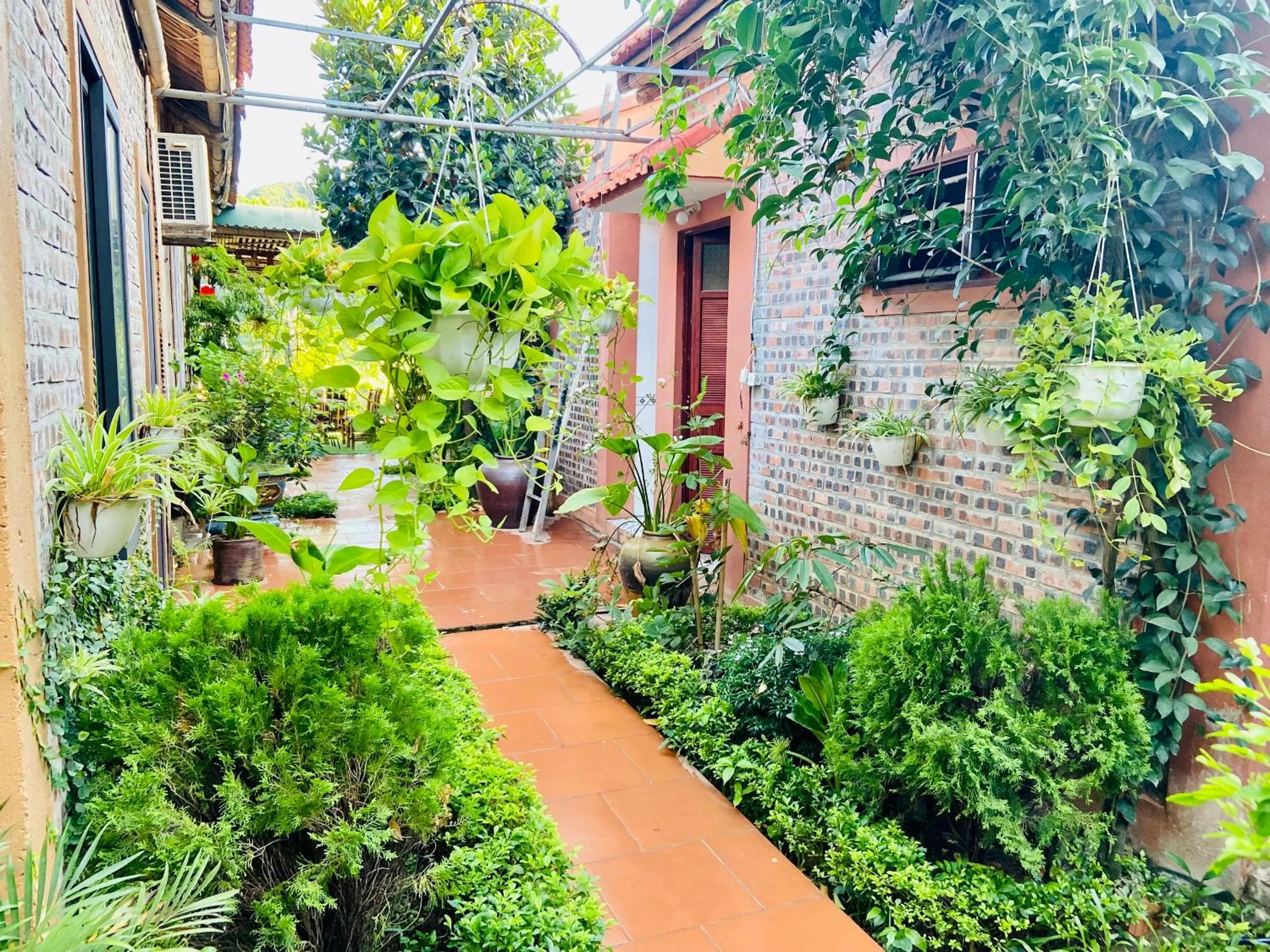 Garden in Tam Coc Mountain View Homestay