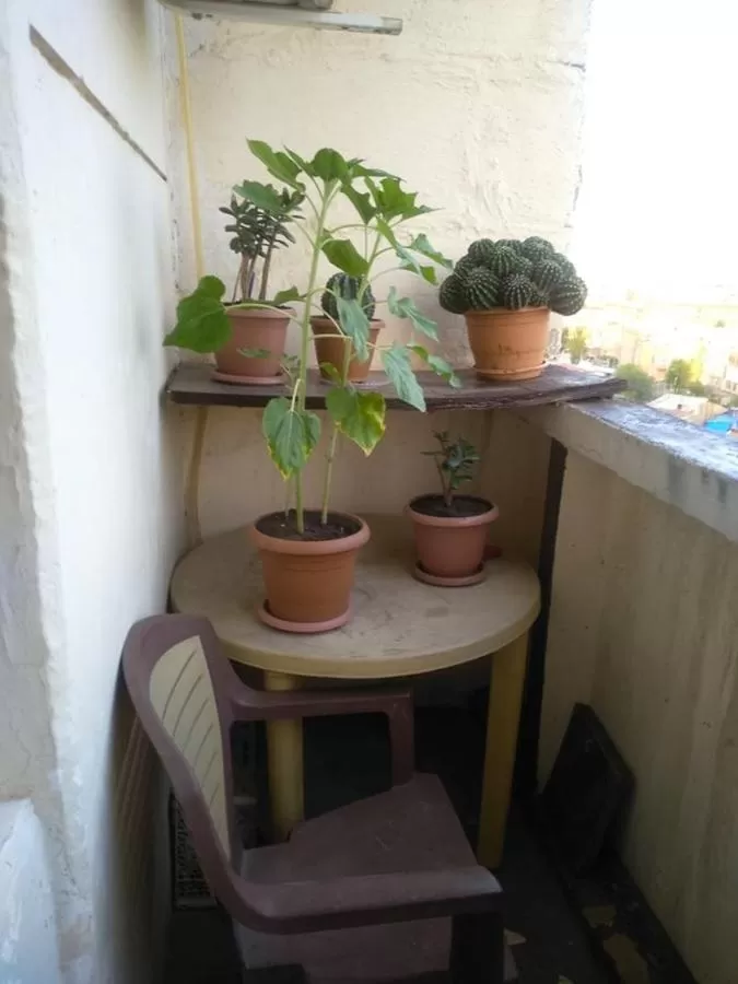 Balcony/Terrace in Guest House Armina