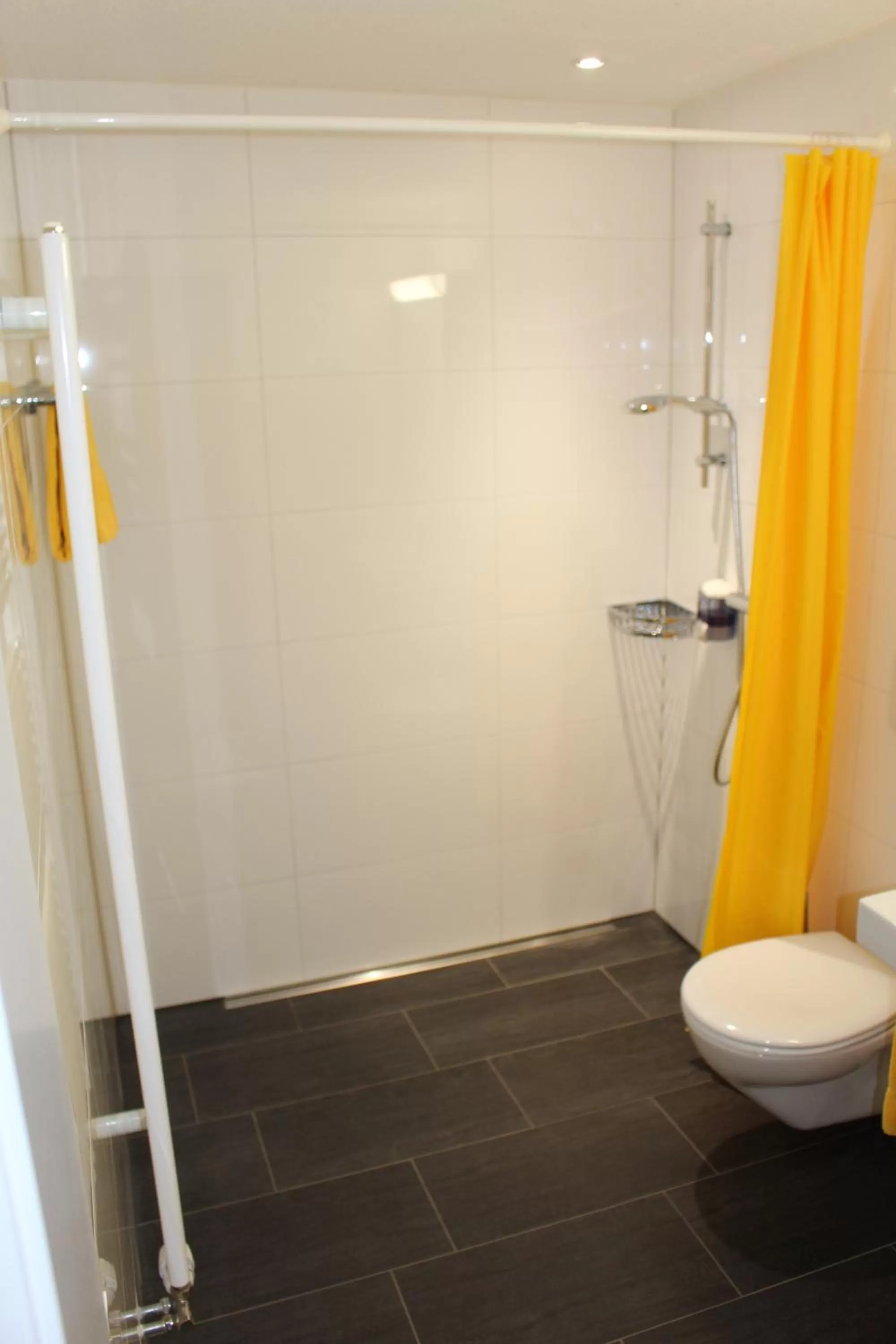 Bathroom in Hotel Schoenau