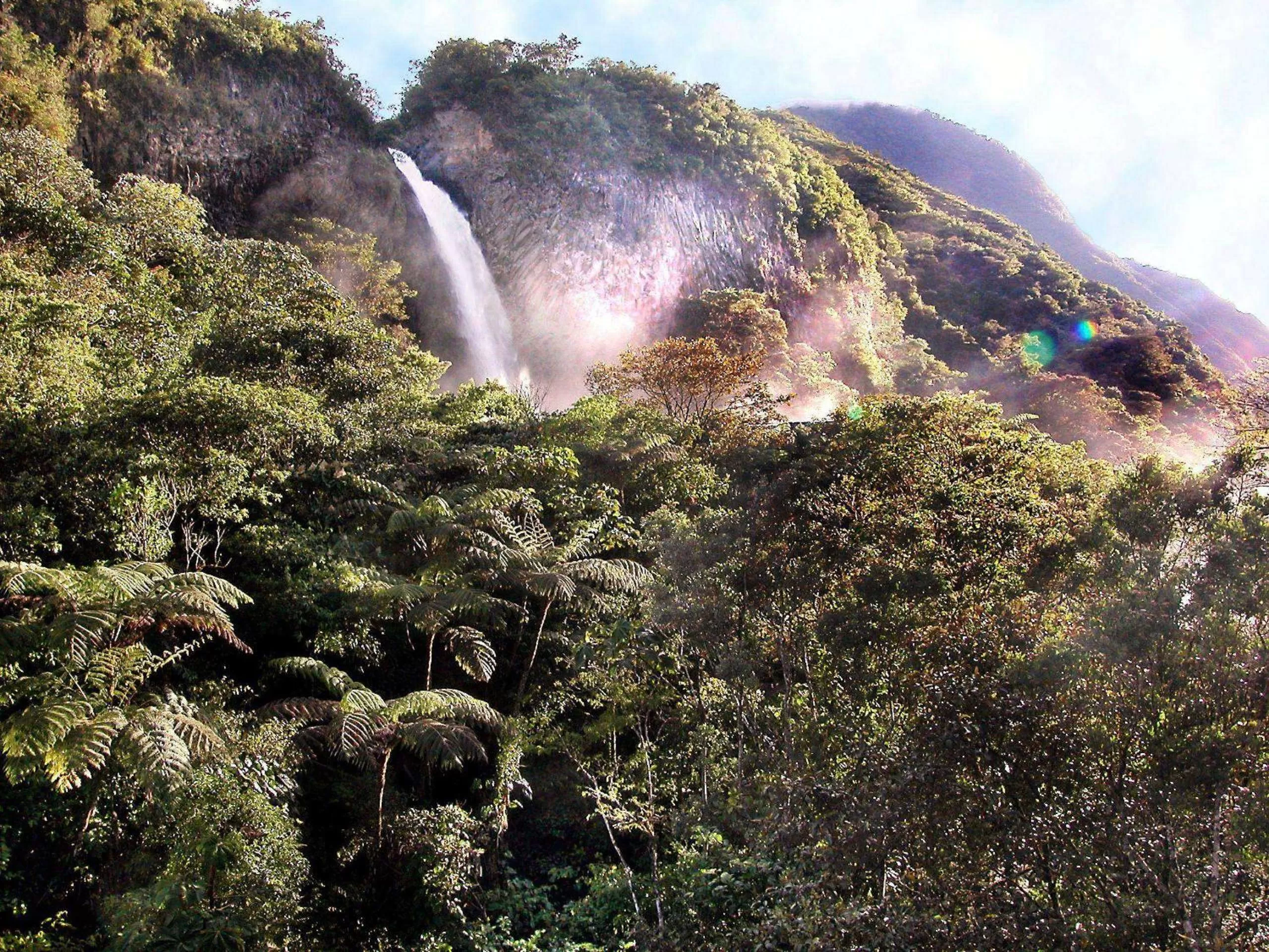 Garden, Natural Landscape in Spa Hosteria Miramelindo