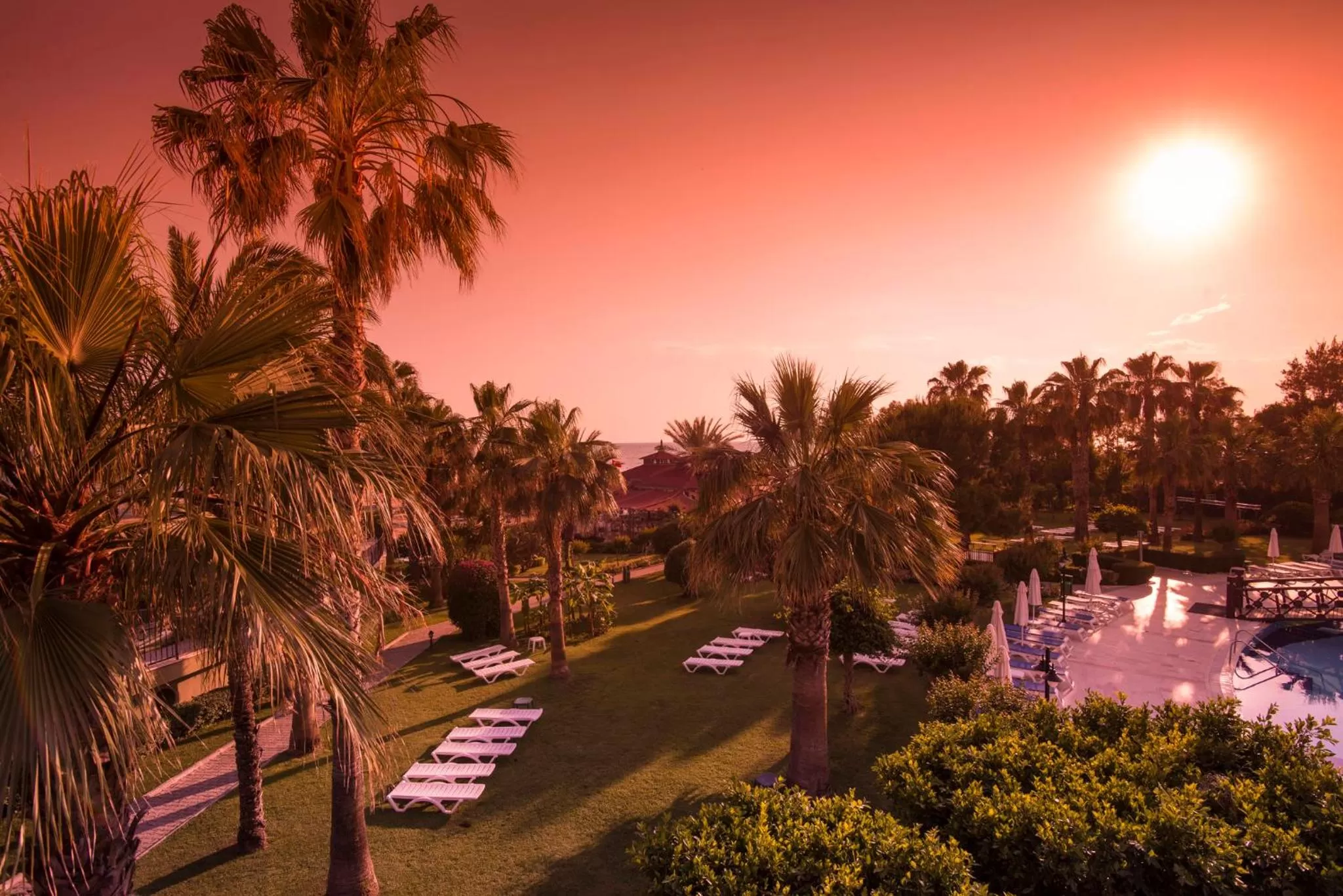 Natural landscape in Hotel Terrace Beach Resort All Inclusive