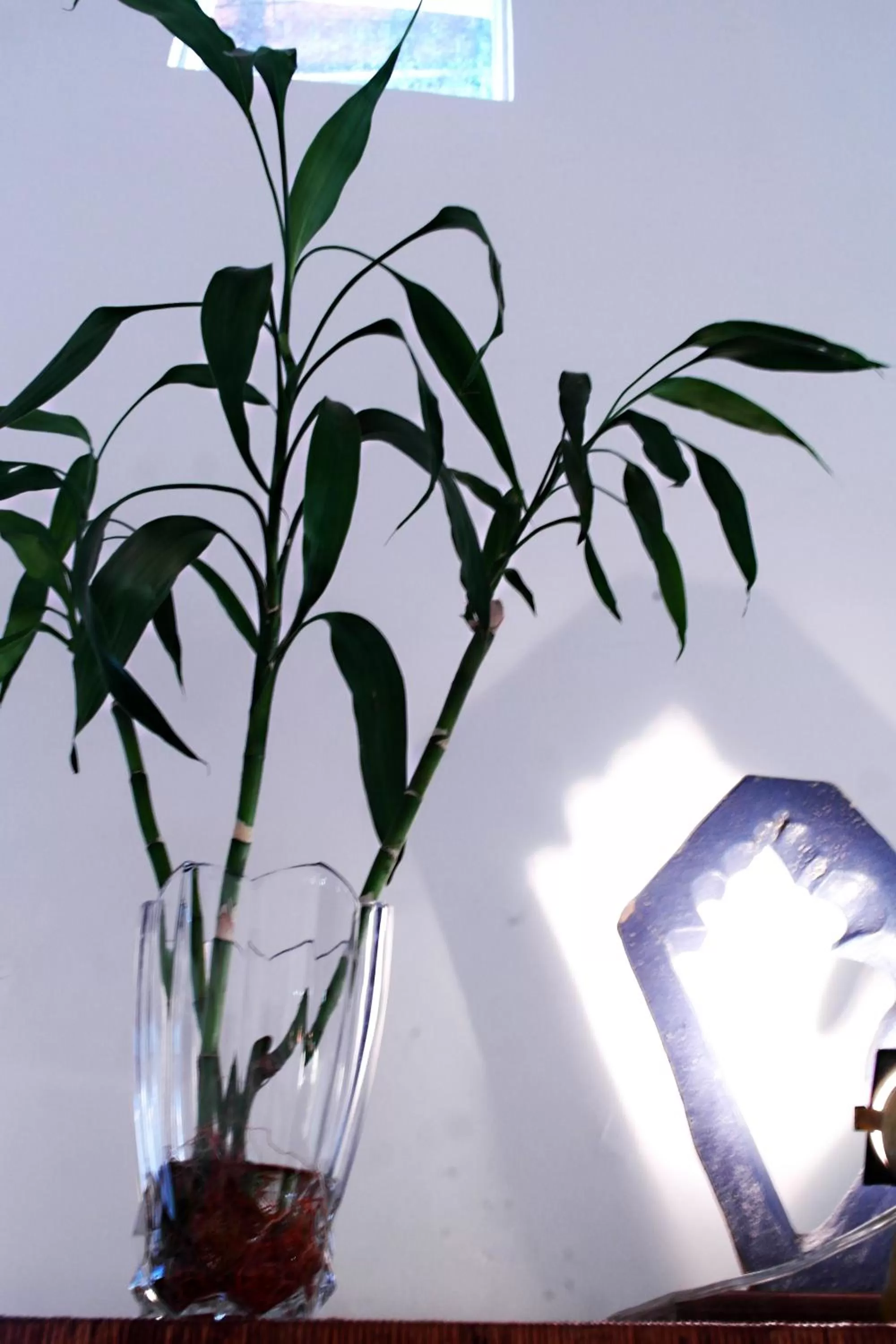 Decorative detail in Maruja