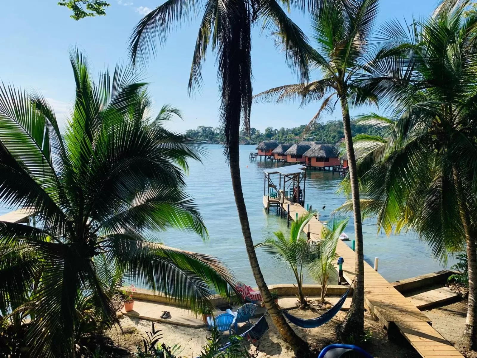 Pool View in Carmen's place
