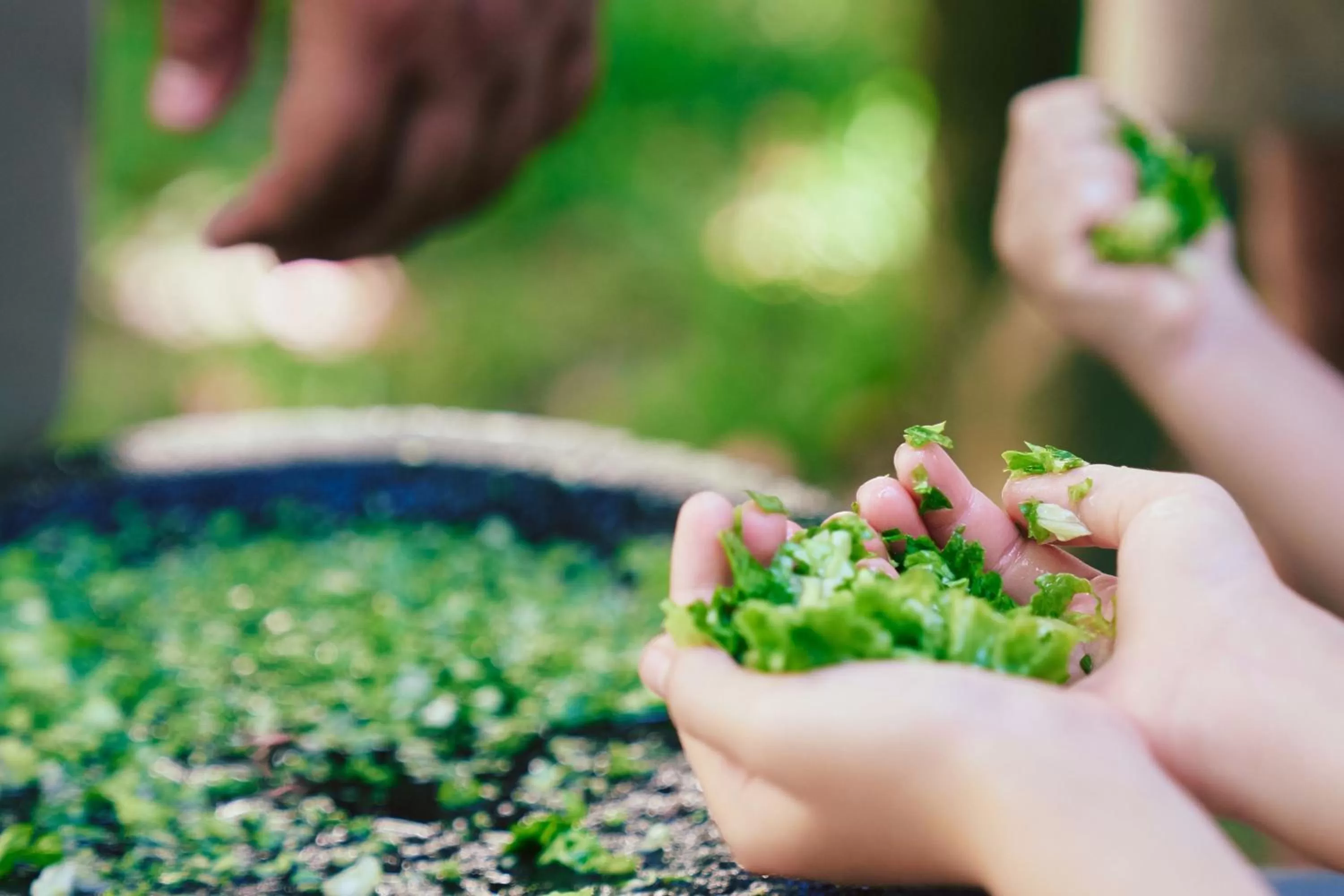 Other in The Ritz-Carlton Sanya, Yalong Bay