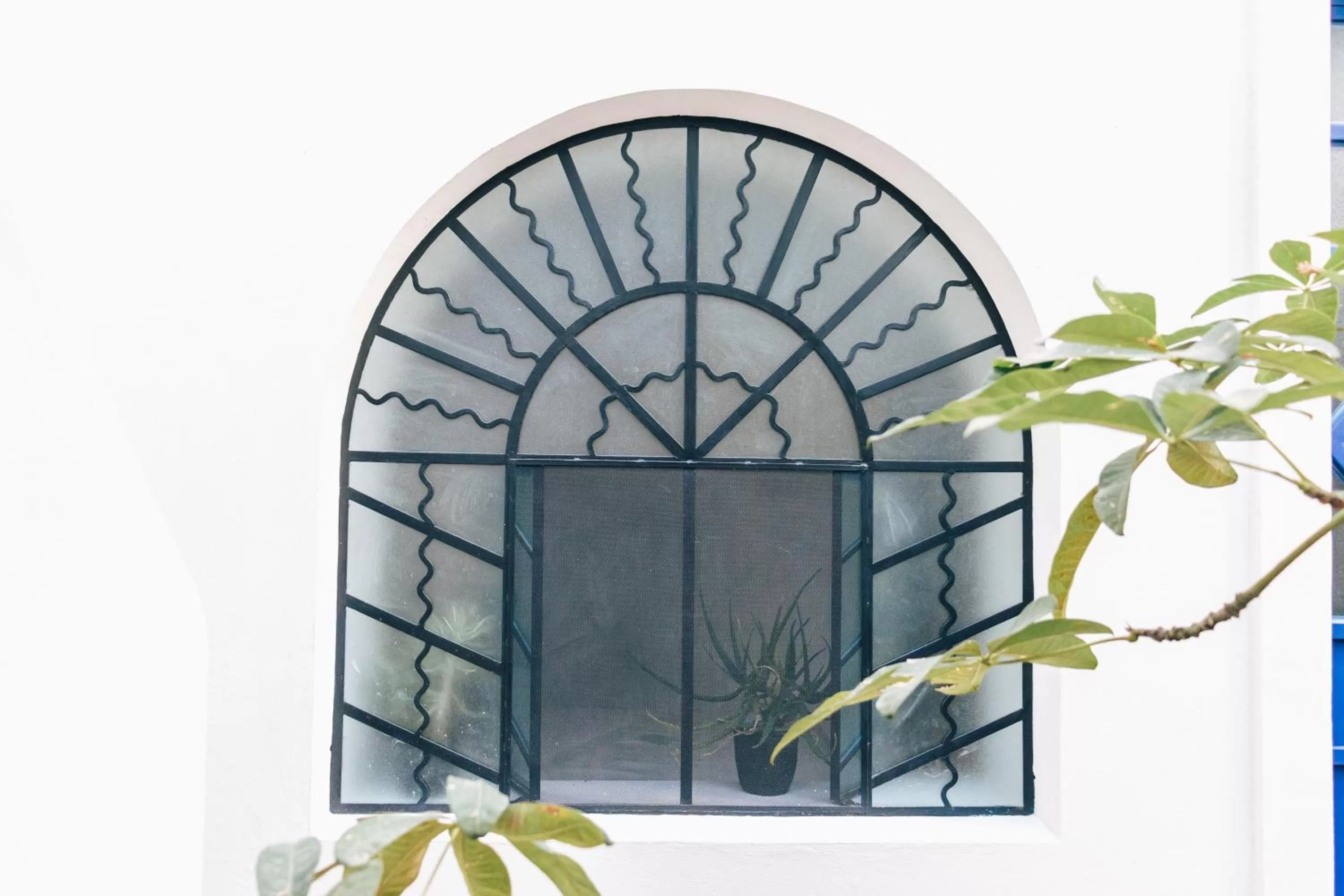 Casa Kali by Barrio México