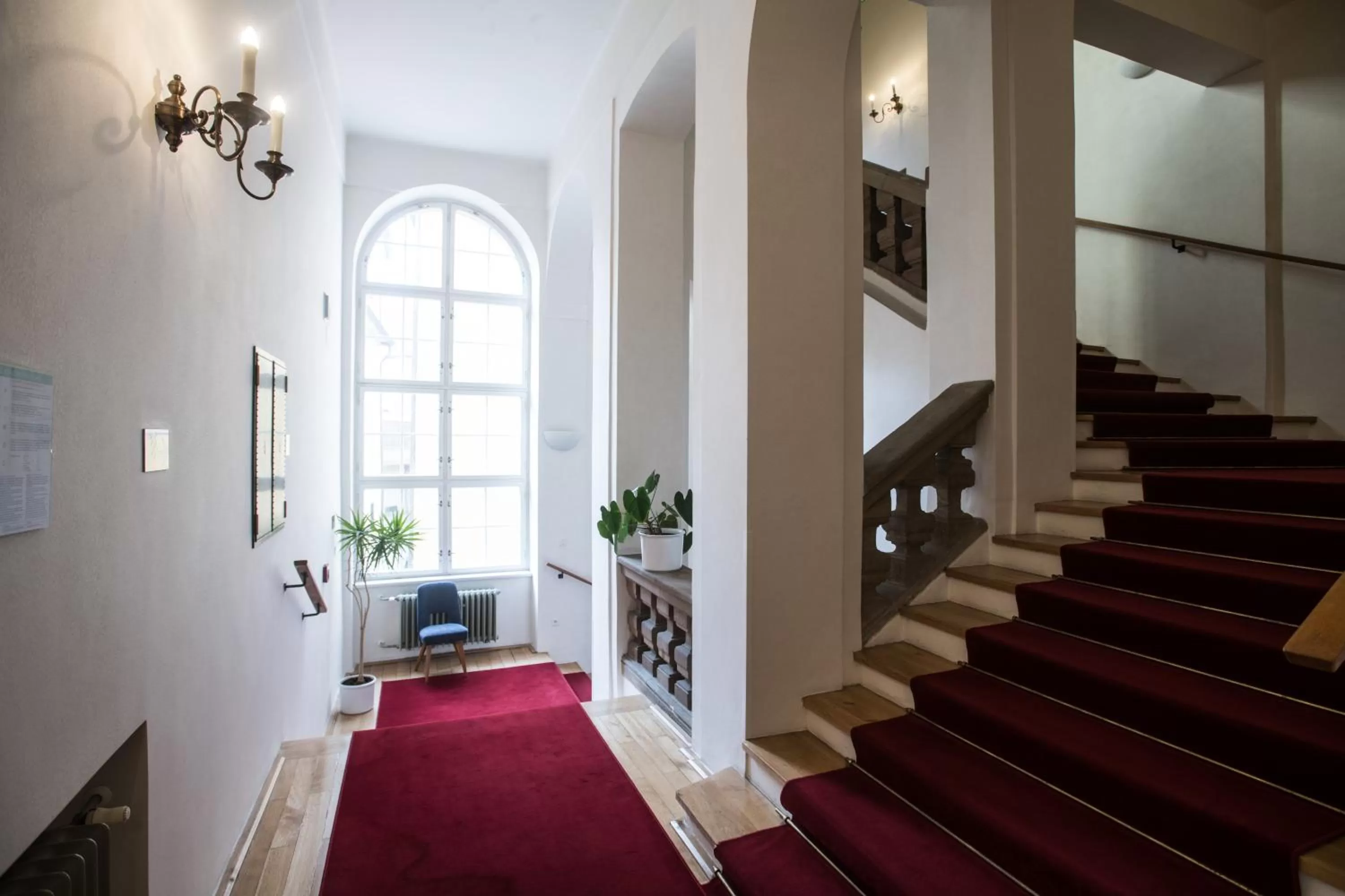 Decorative detail in Opitzův dům