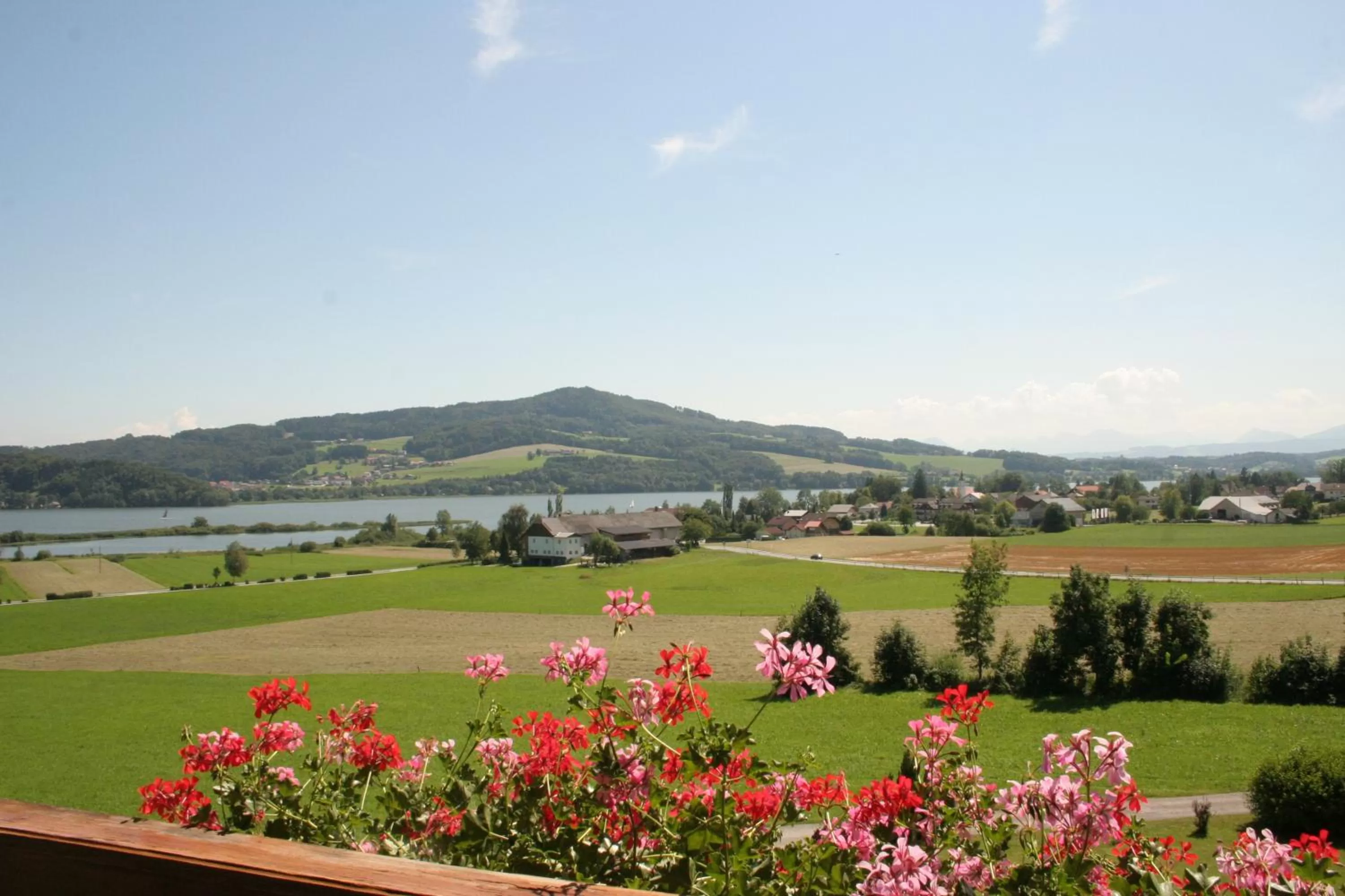 Balcony/Terrace in Hotel Walkner