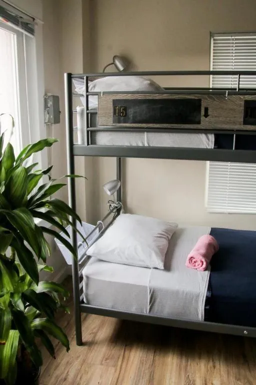 Bedroom, Bunk Bed in Melrose Hostel