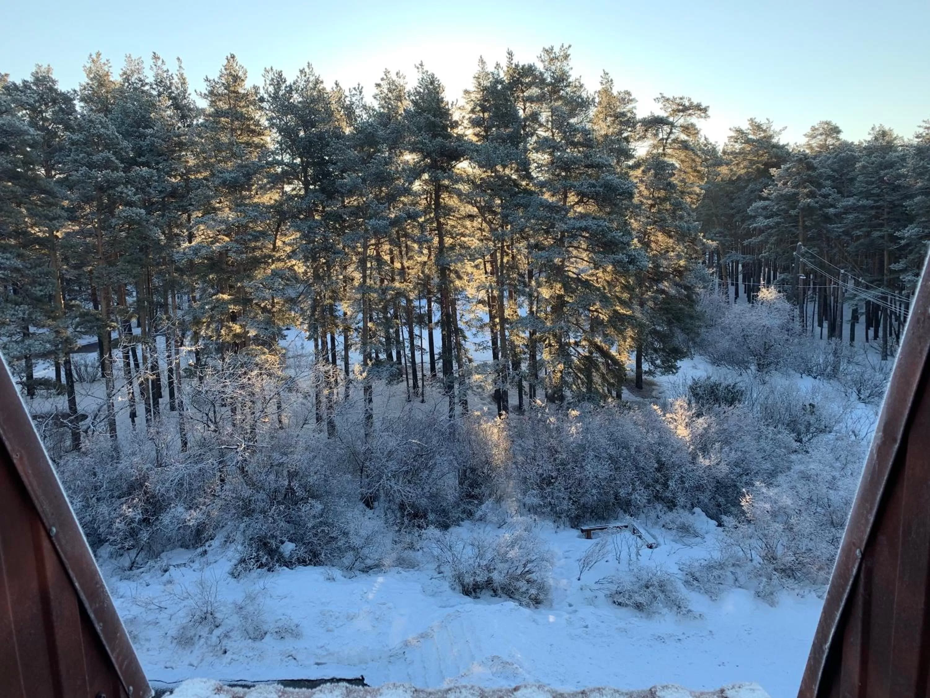 View (from property/room), Winter in Zhaylau Hotel
