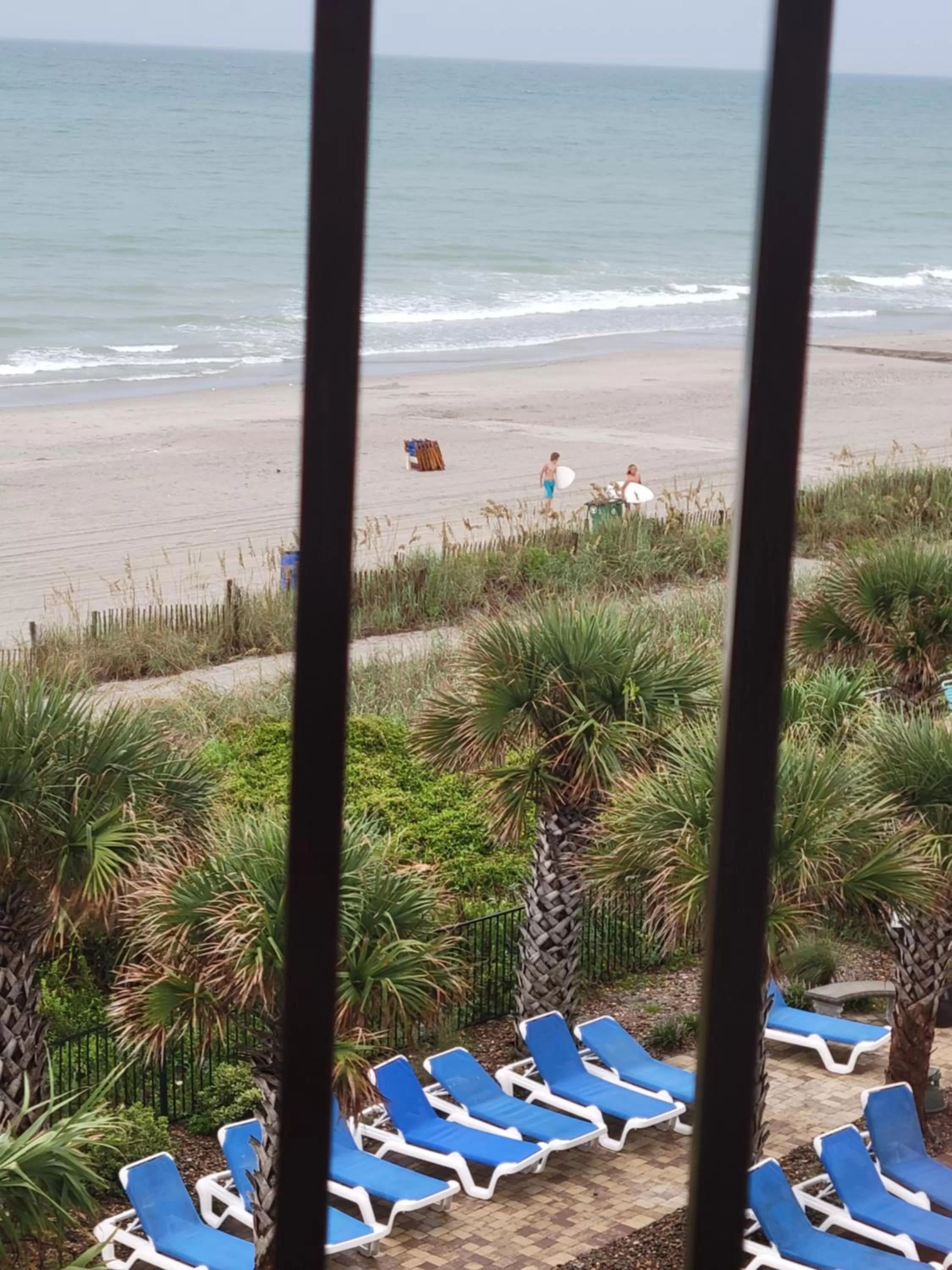 Beach in The Palace Unit 305