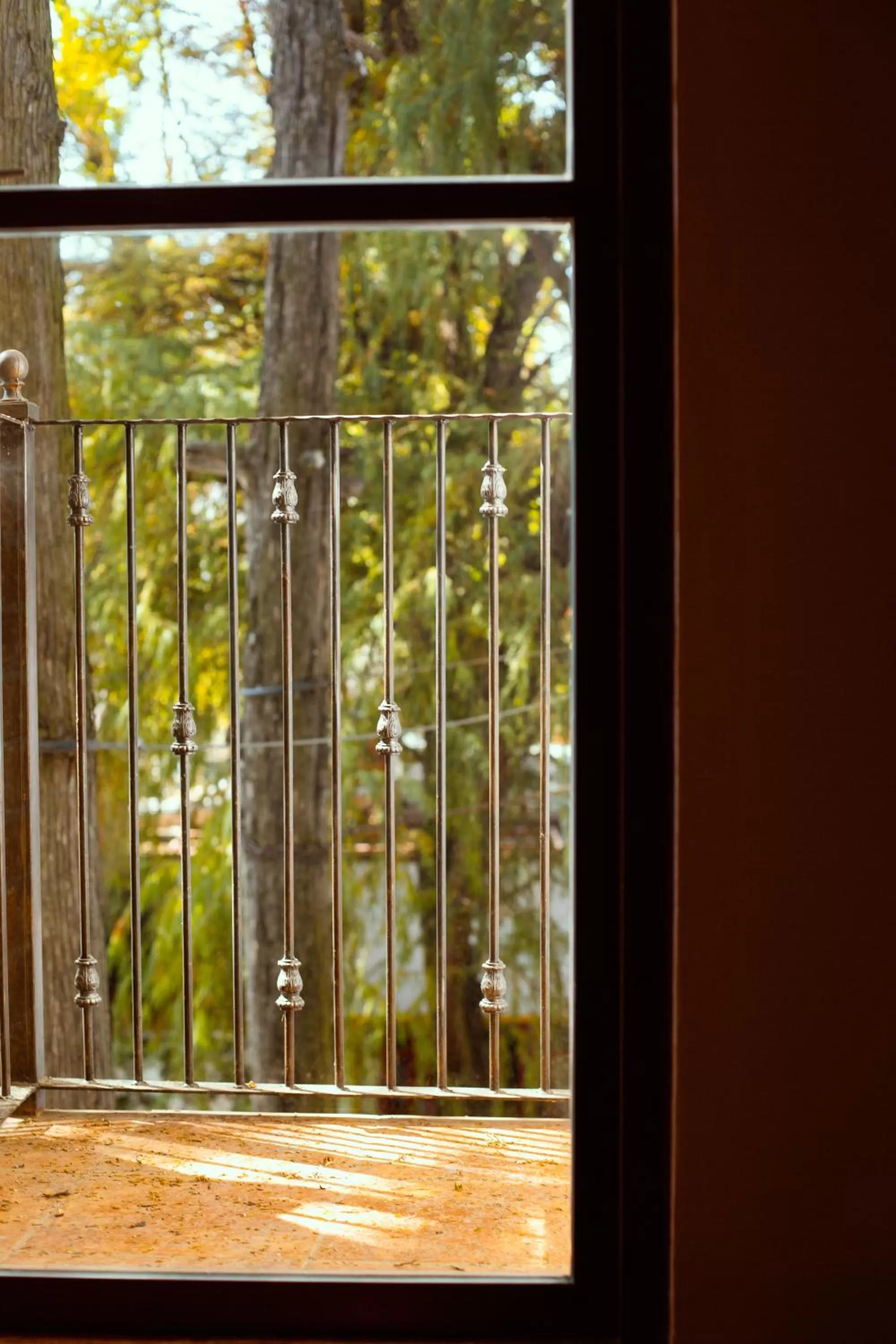 Garden view in Casa Jacinta Guest House