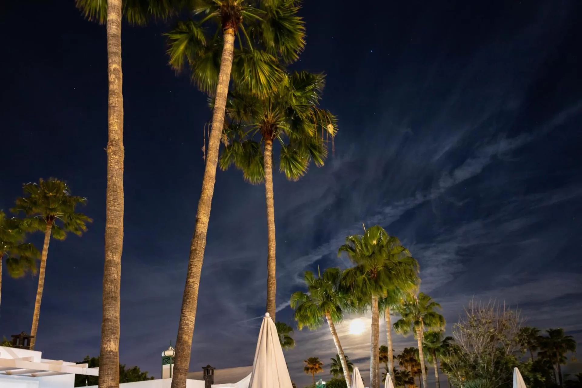 Night in Hyde Park Lane