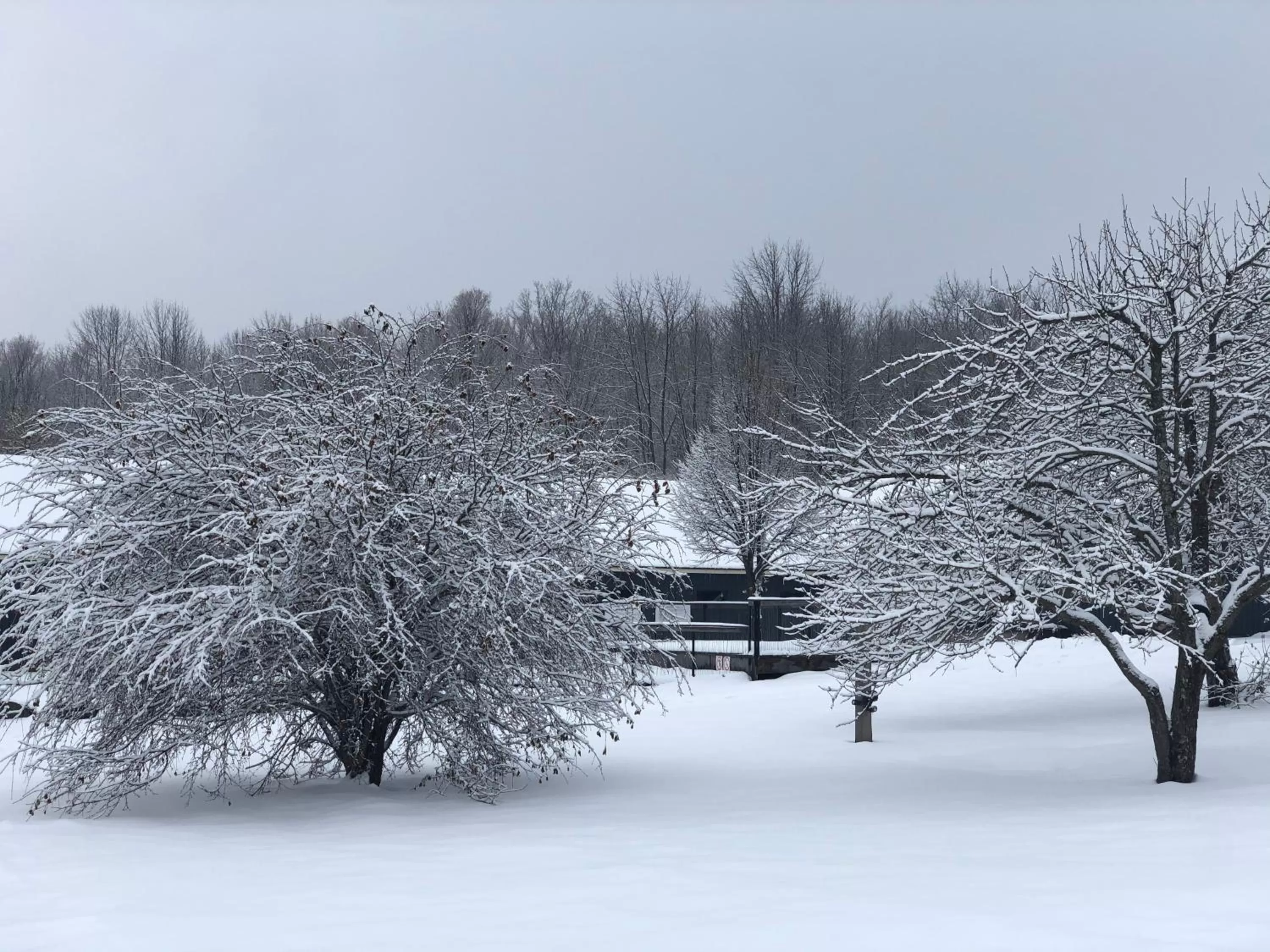 Natural landscape in Beatnik Hotel