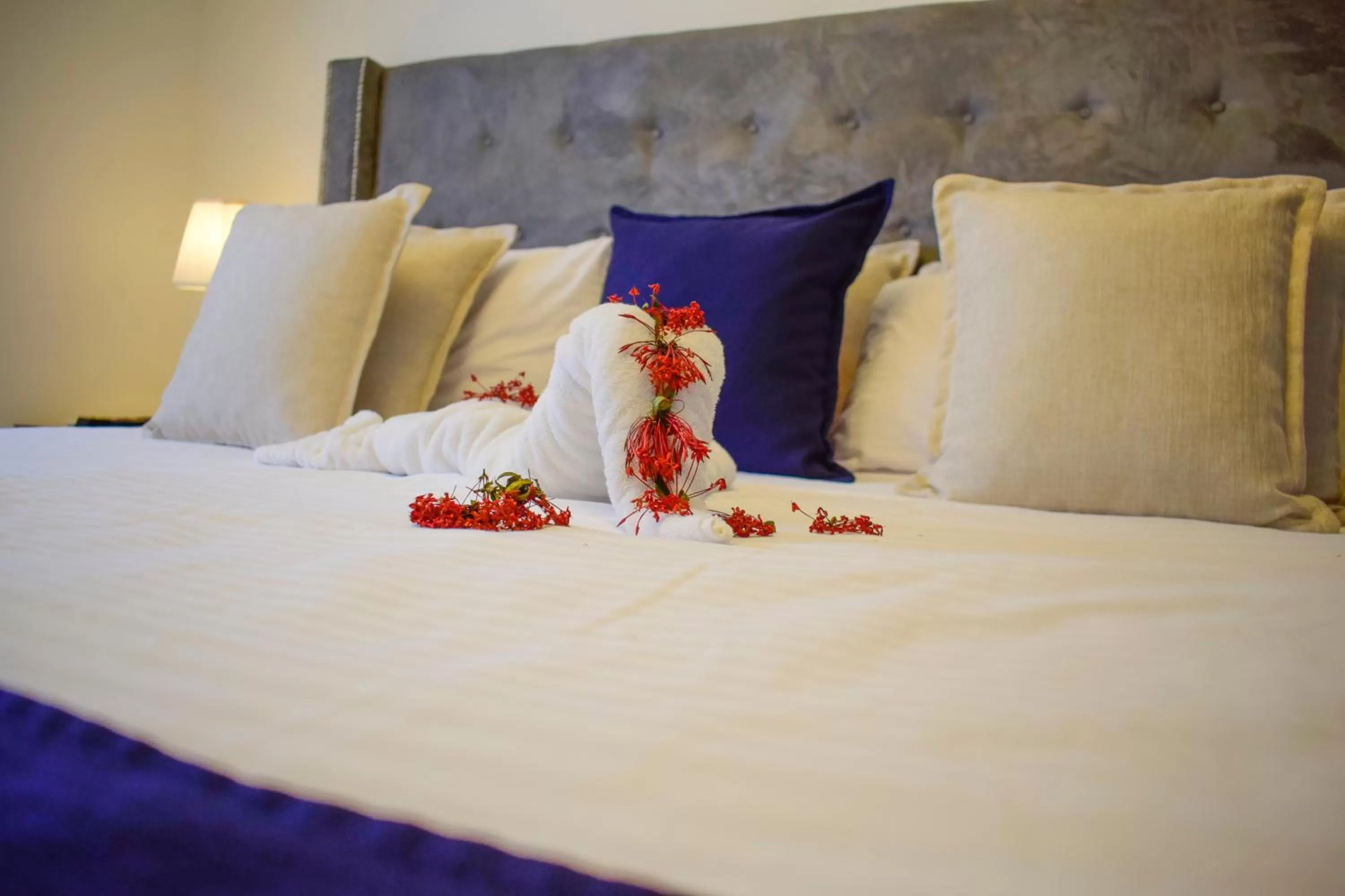 Bedroom, Bed in Hotel Checkin El Cortecito Beach