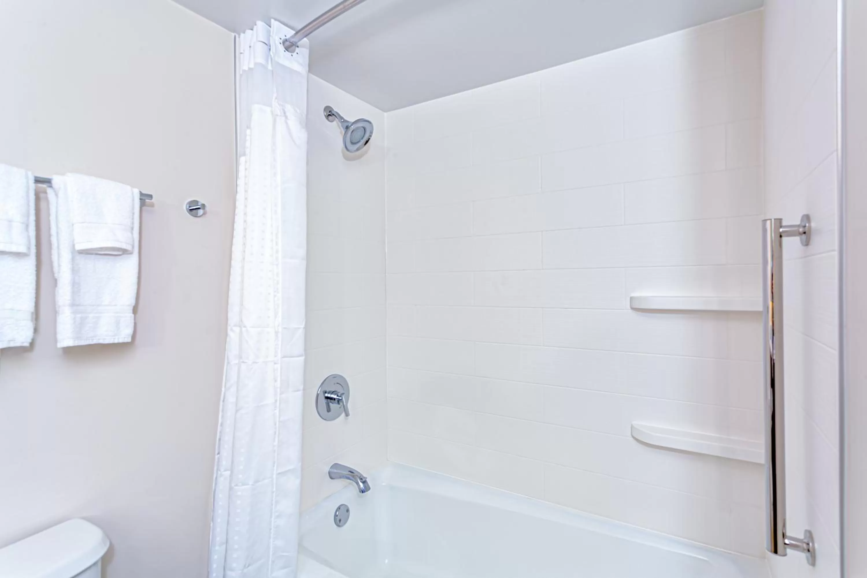 Bathroom in Holiday Inn Express Tampa-Brandon by IHG