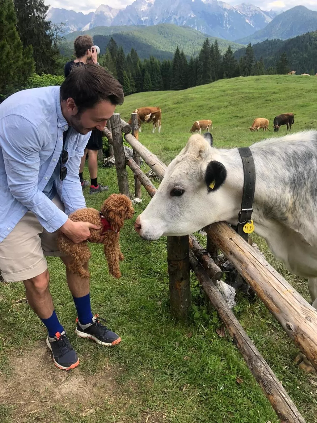 Natural landscape in Bed and Breakfast Bavaria München
