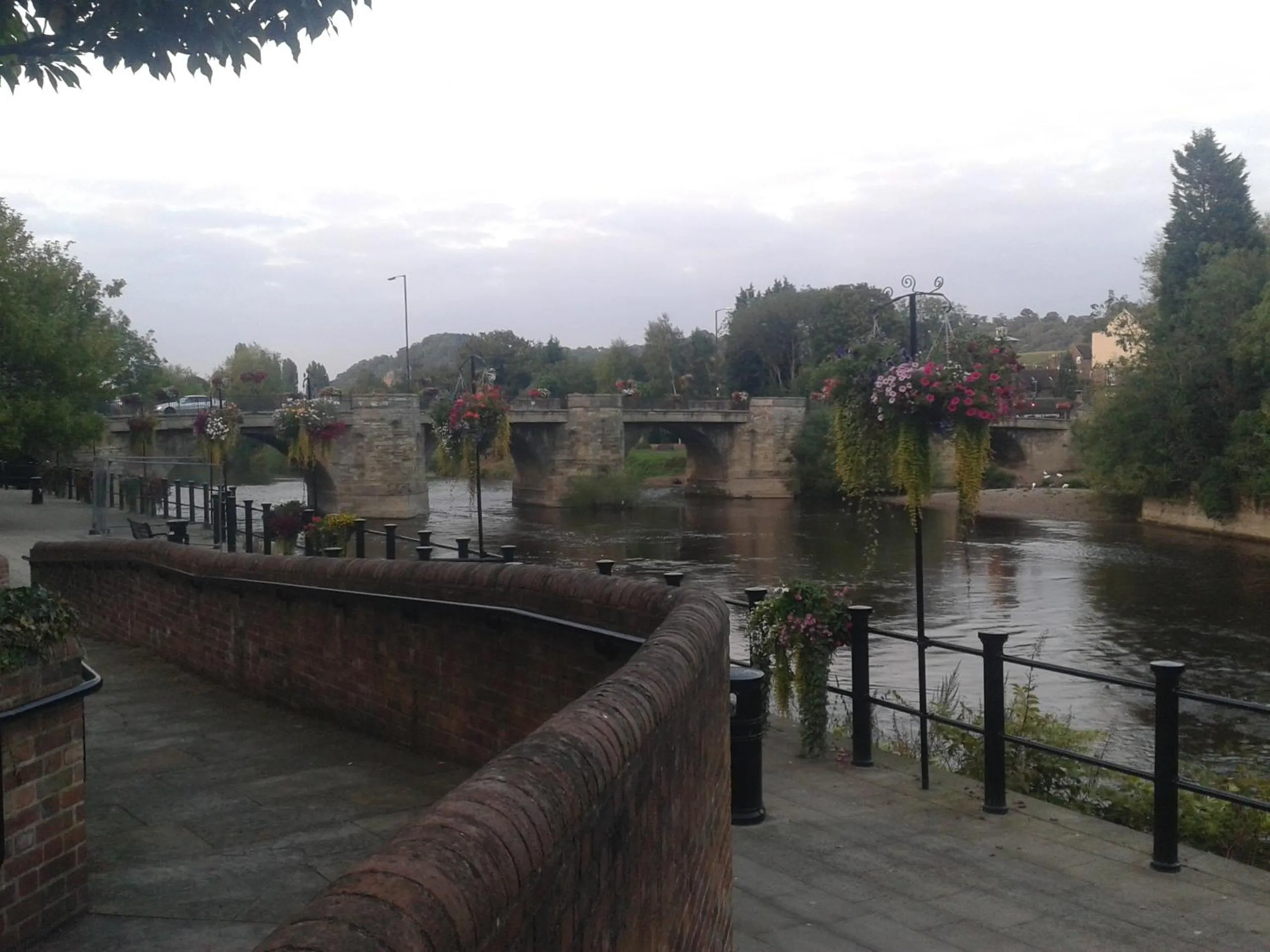 Natural landscape in Pine Tree Lodge, Bridgnorth