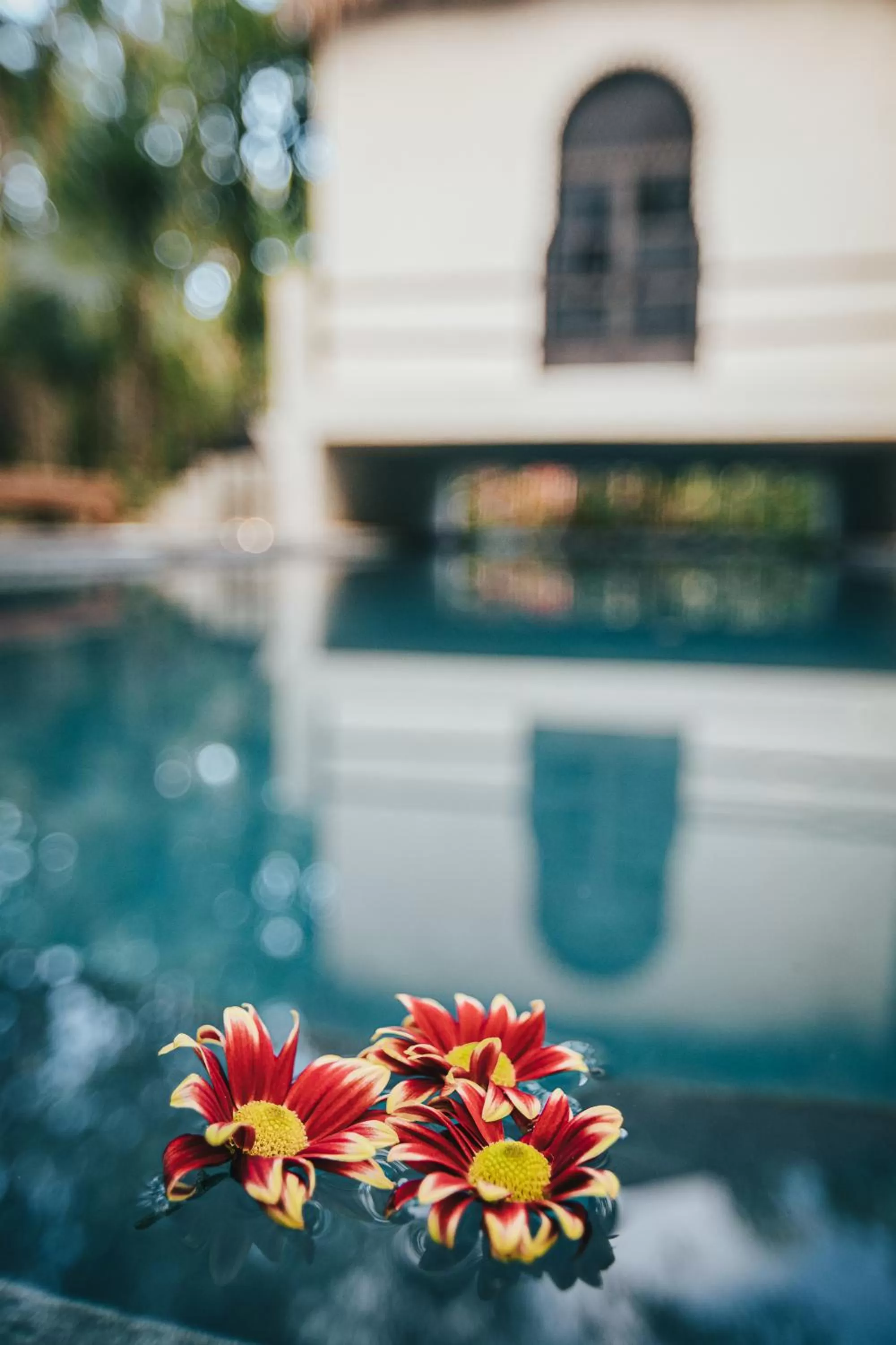 Day in Ambre & Epices Jungle Hotel & Spa