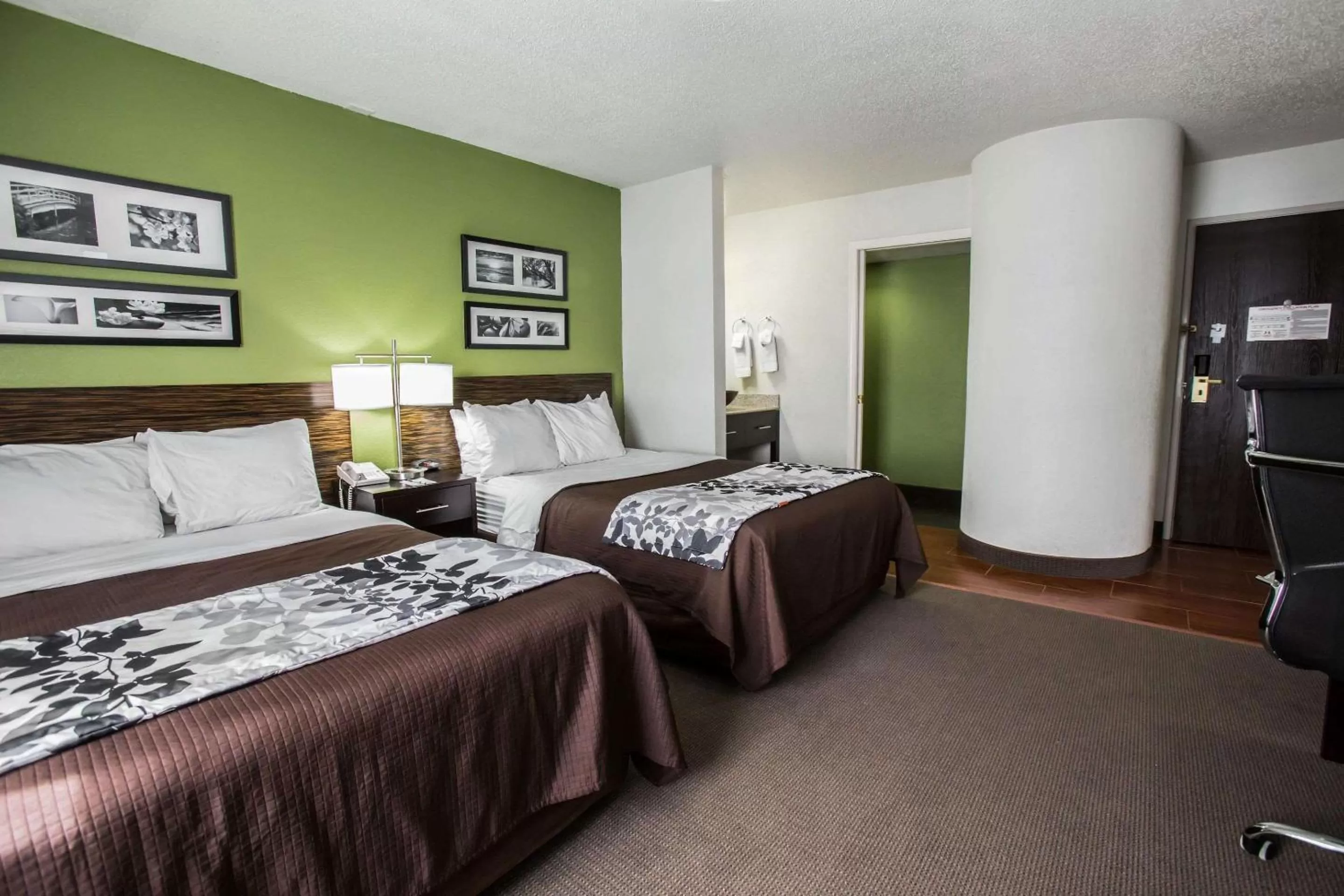 Standard Double Room with Two Double Beds - Non-Smoking in Sleep Inn Rockford I-90