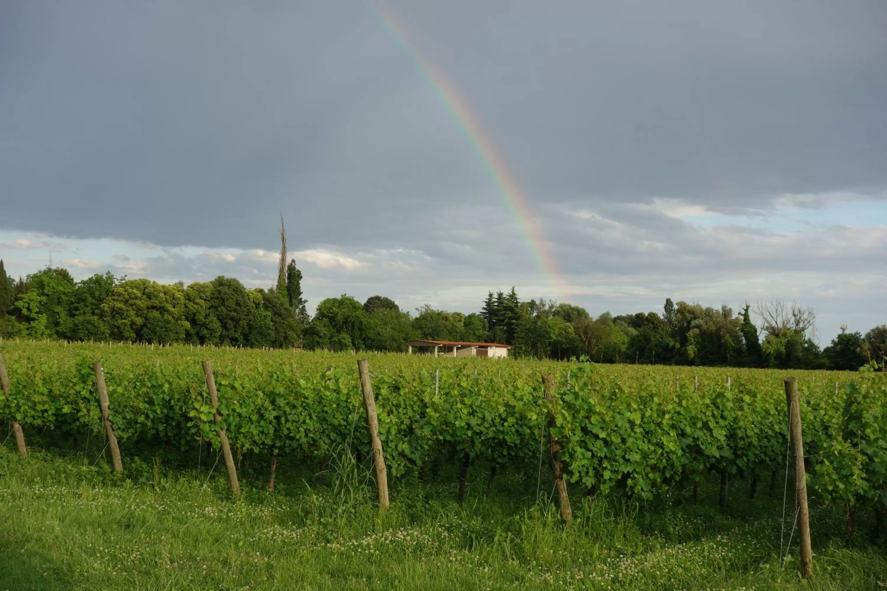 Quiet street view in Agriturismo Le Giarine