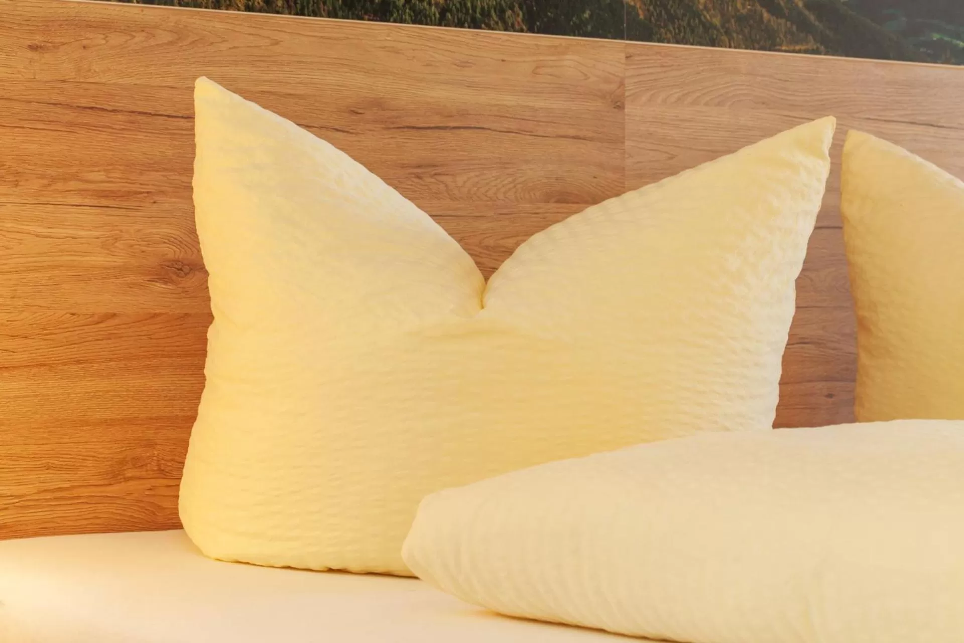 Photo of the whole room, Bed in Appartementhaus Dachsteinblick