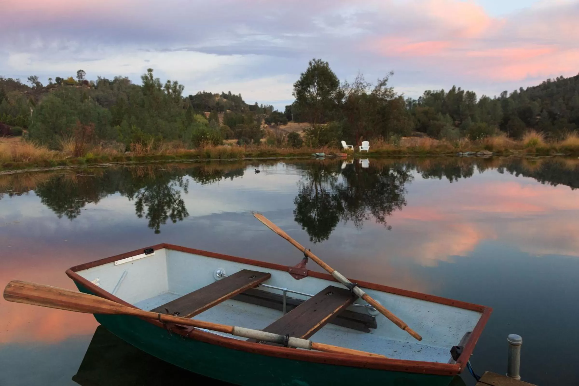 Garden in Eden Vale Inn