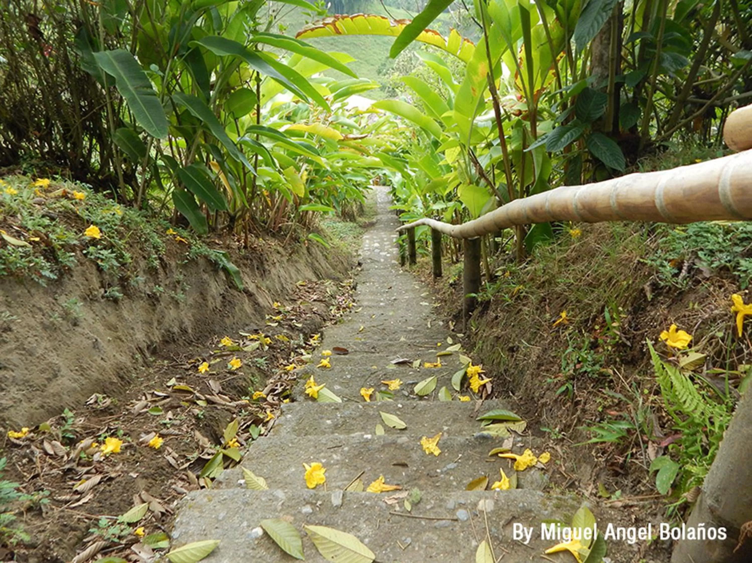 Natural landscape, Other Animals in Eco Lodge La Juanita