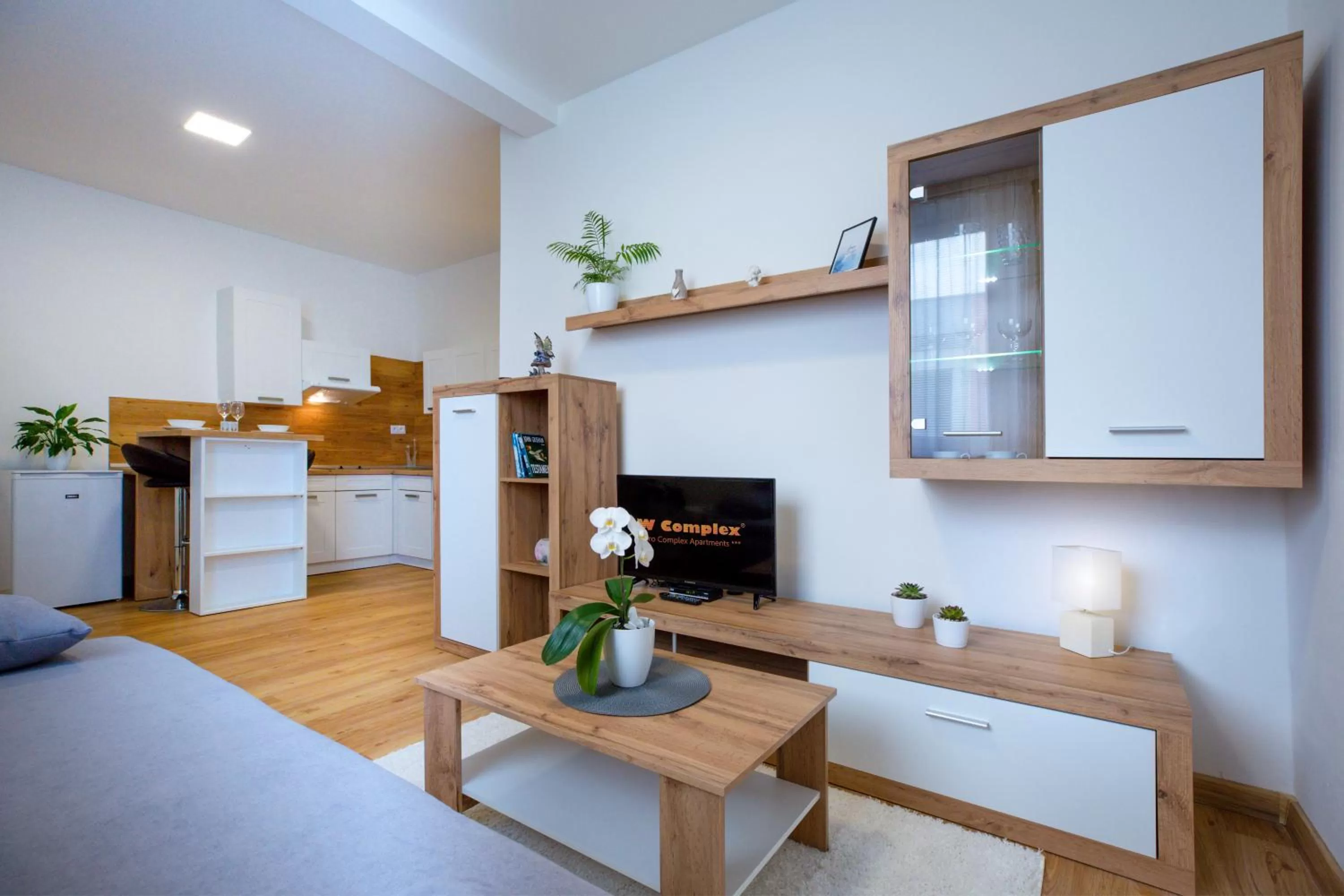 Living room, Kitchen/Kitchenette in Agro Complex Apartments