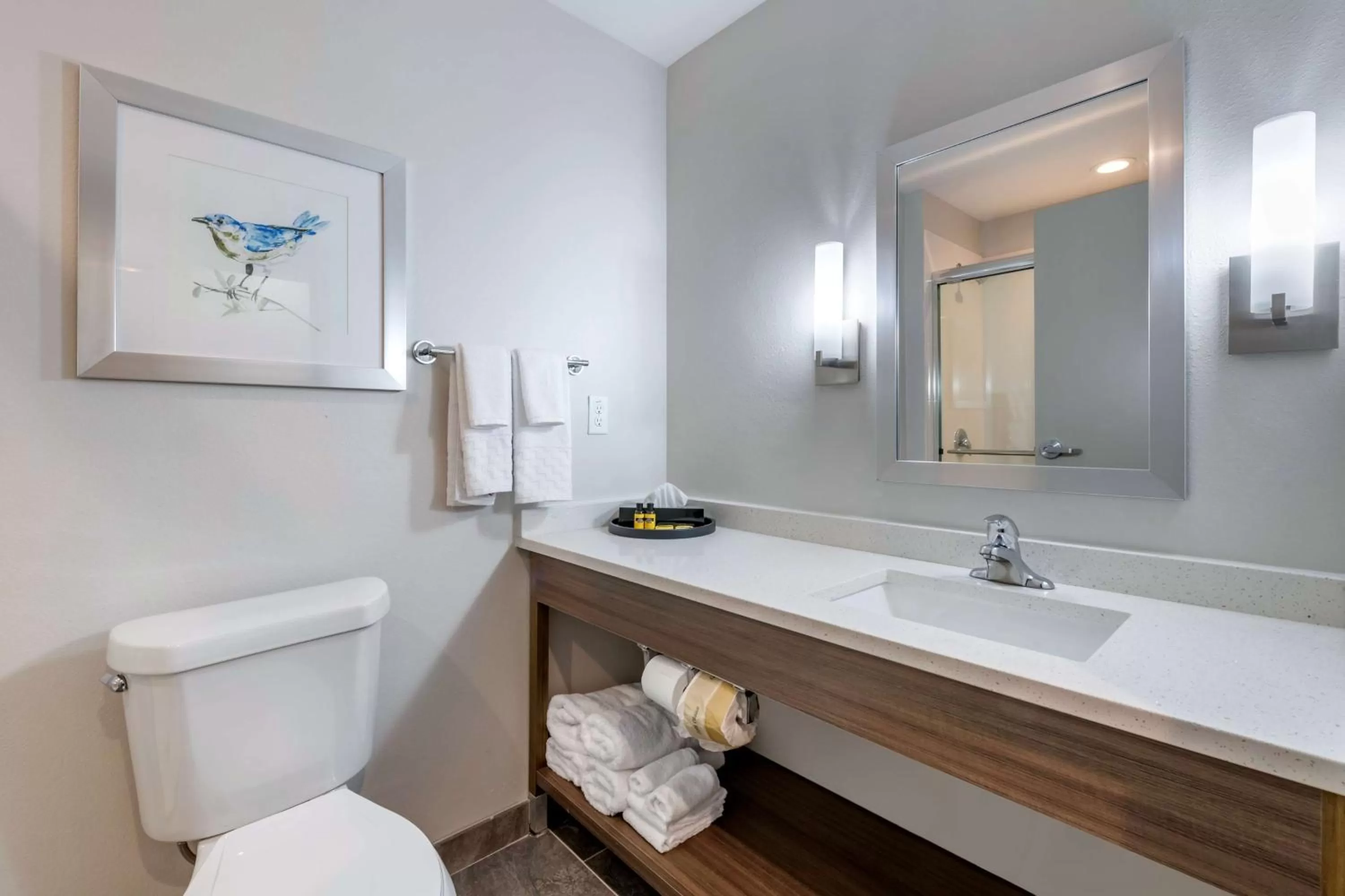 Bathroom in Best Western Plus Lakeland