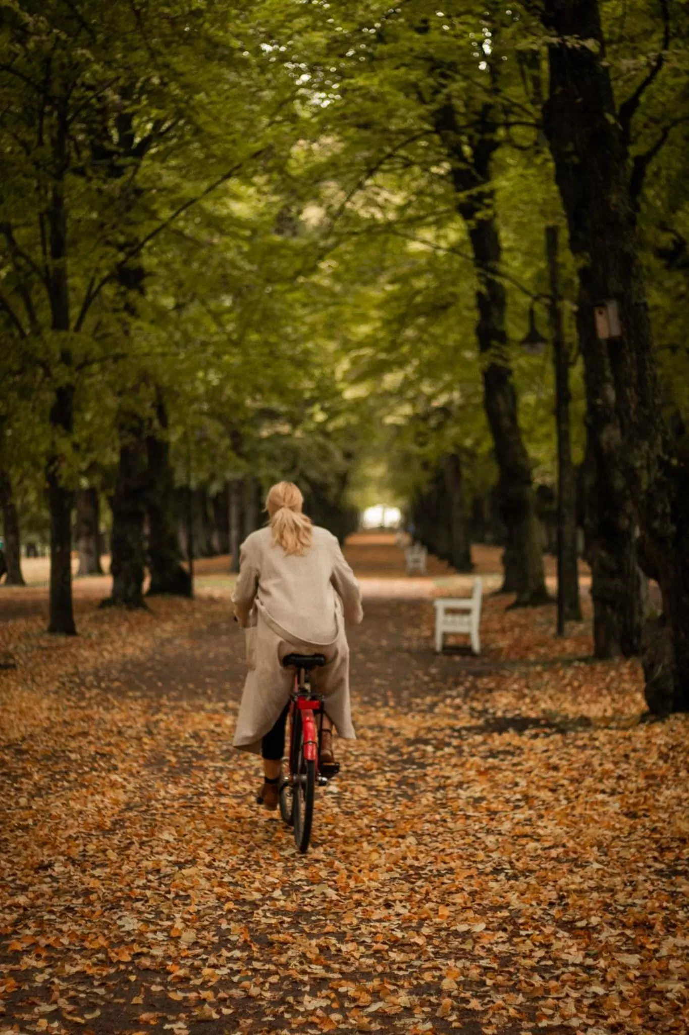 Activities in Clarion Hotel Winn